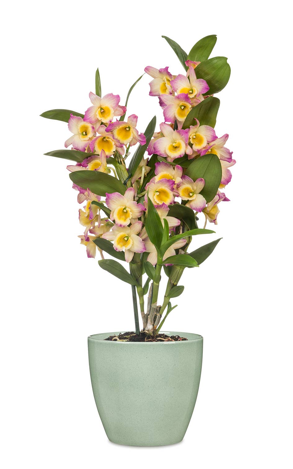 Blumentopf/Übertopf 920 Spirit aus Keramik