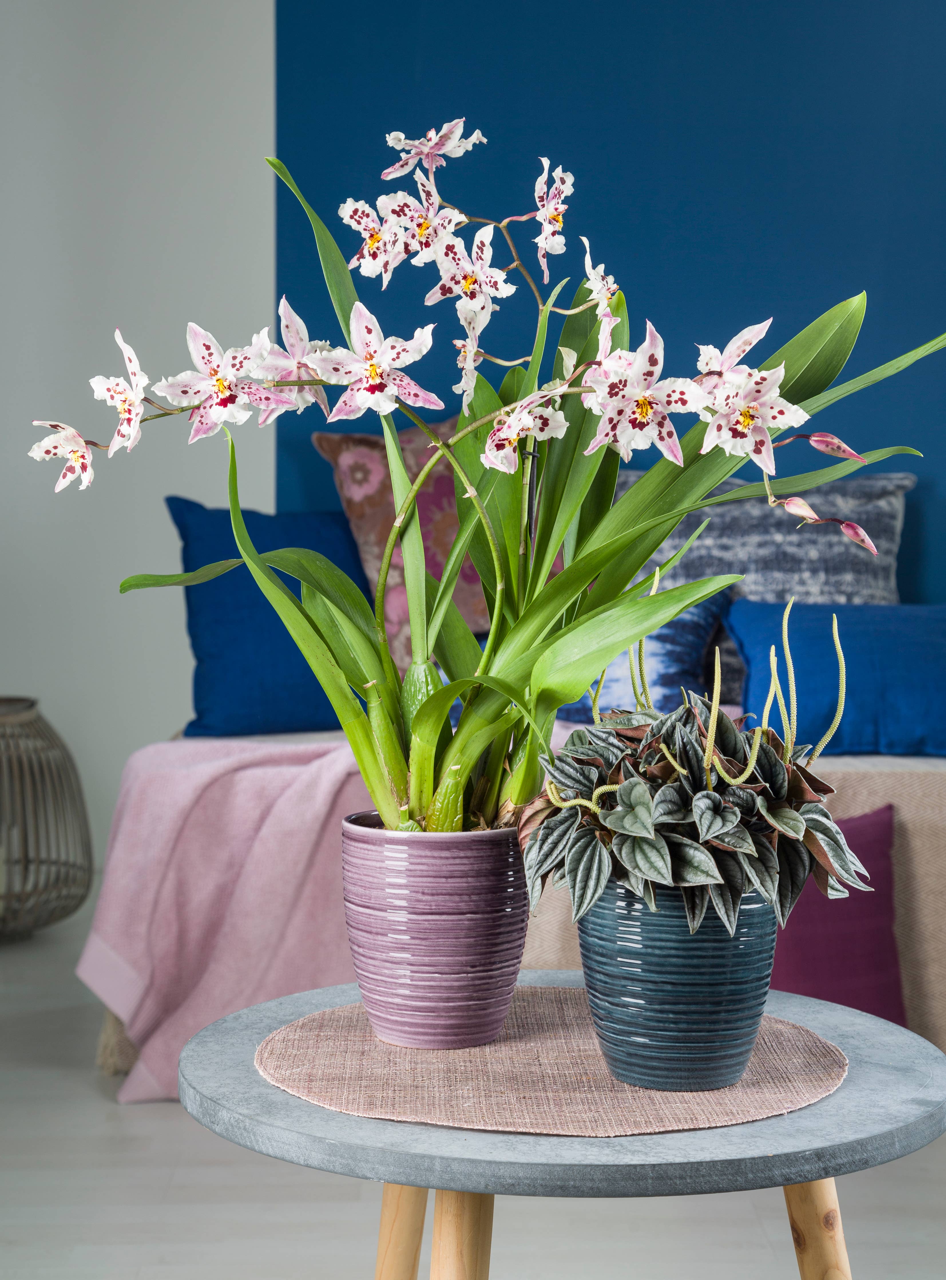 Orchideengefäß 669 aus Keramik