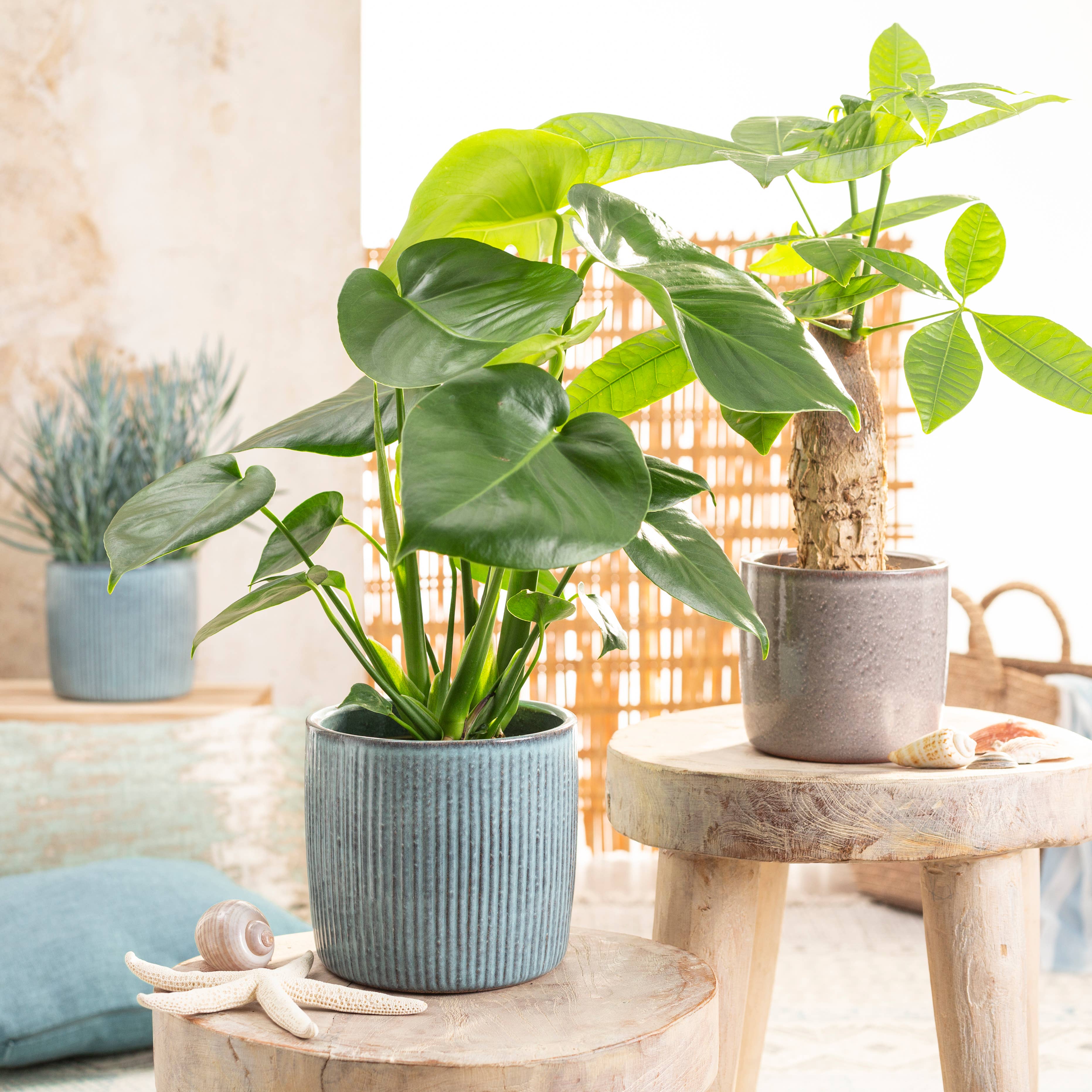 2Er Set Übertöpfe Solido 900 aus Keramik