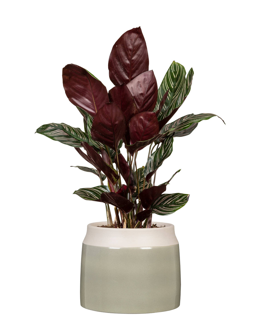 Blumentopf/Übertopf Jarro 717 aus Keramik