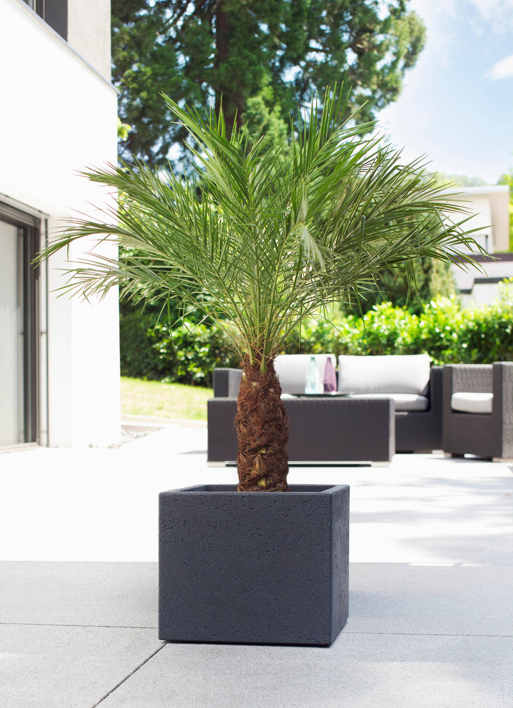 Blumentopf/Pflanzgefäß C-Cube 240 aus Kunststoff