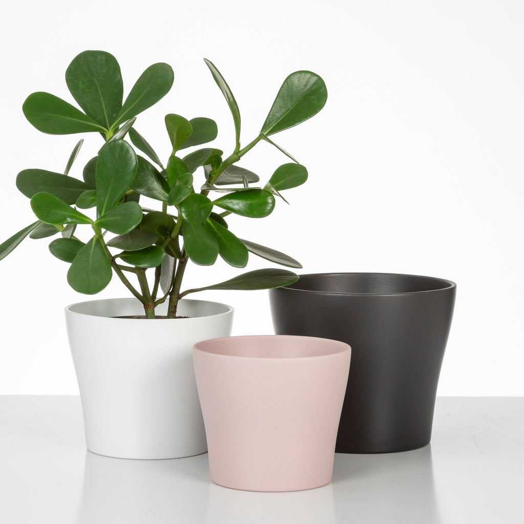 Blumentopf/Übertopf 808 Powder Rose aus Keramik