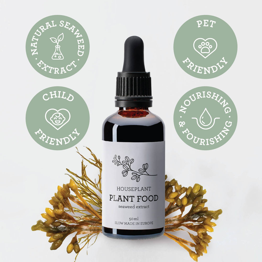 PFLANZENPFLEGE-SET | Geschenkpaket mit Pflanzenleckereien