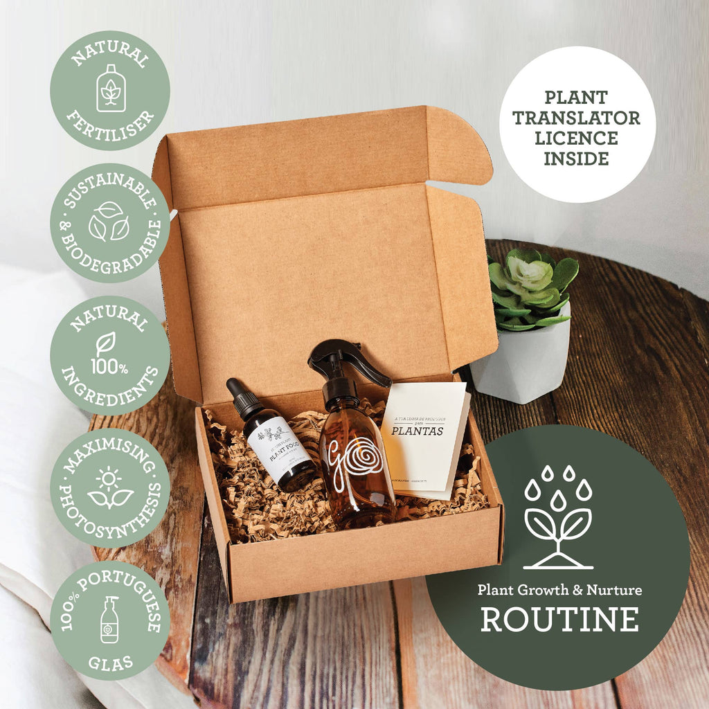 PFLANZENPFLEGE-SET | Geschenkpaket mit Pflanzenleckereien