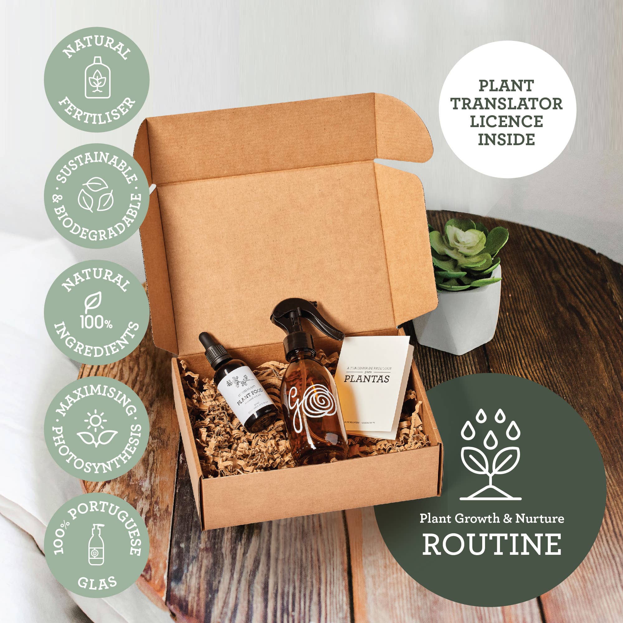 PFLANZENPFLEGE-SET | Geschenkpaket mit Pflanzenleckereien