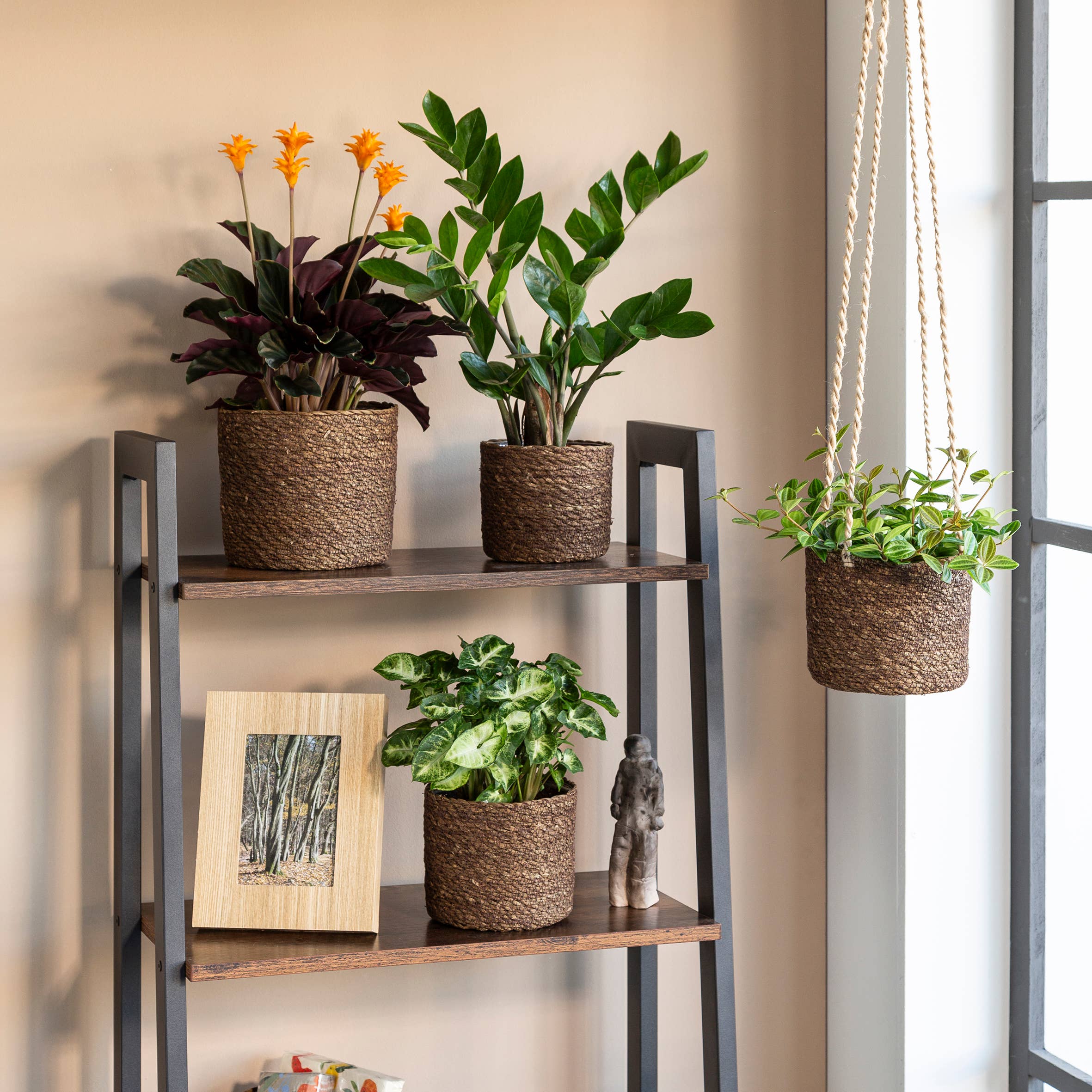 Hängeampel/Hängekorb 509 Aus Seegras