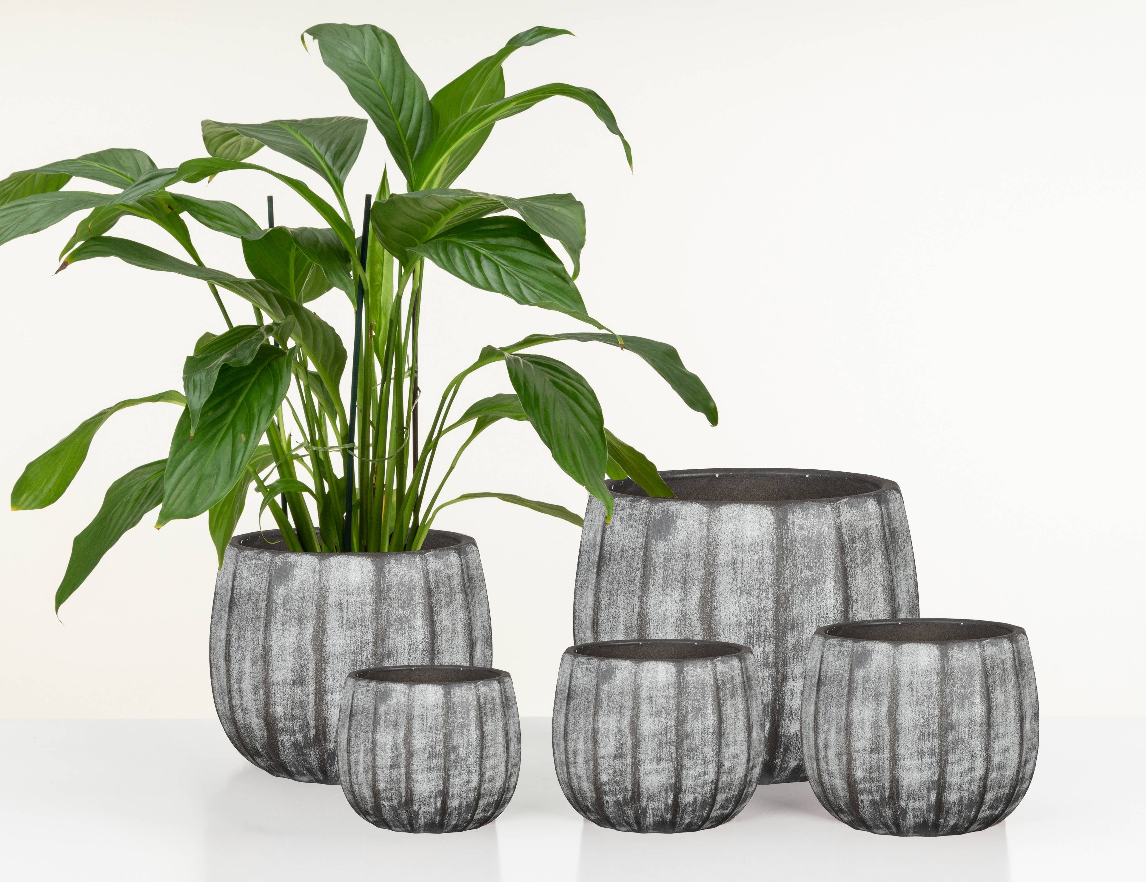 Blumentopf/Übertopf 784 Washed Grey aus Keramik