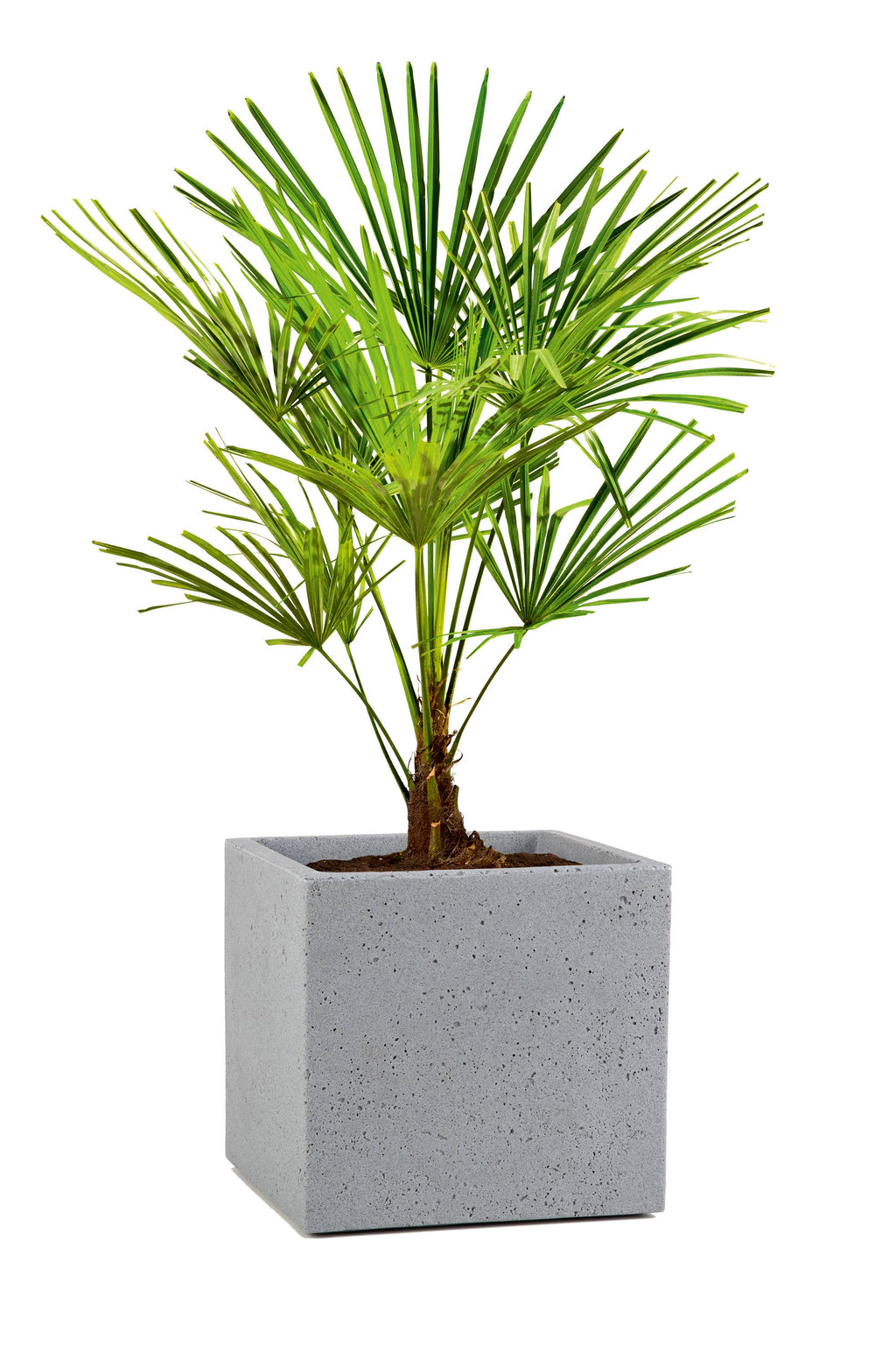 Blumentopf/Pflanzgefäß C-Cube 240 aus Kunststoff