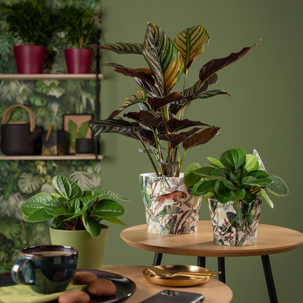 Blumentopf/Übertopf 808 aus Keramik