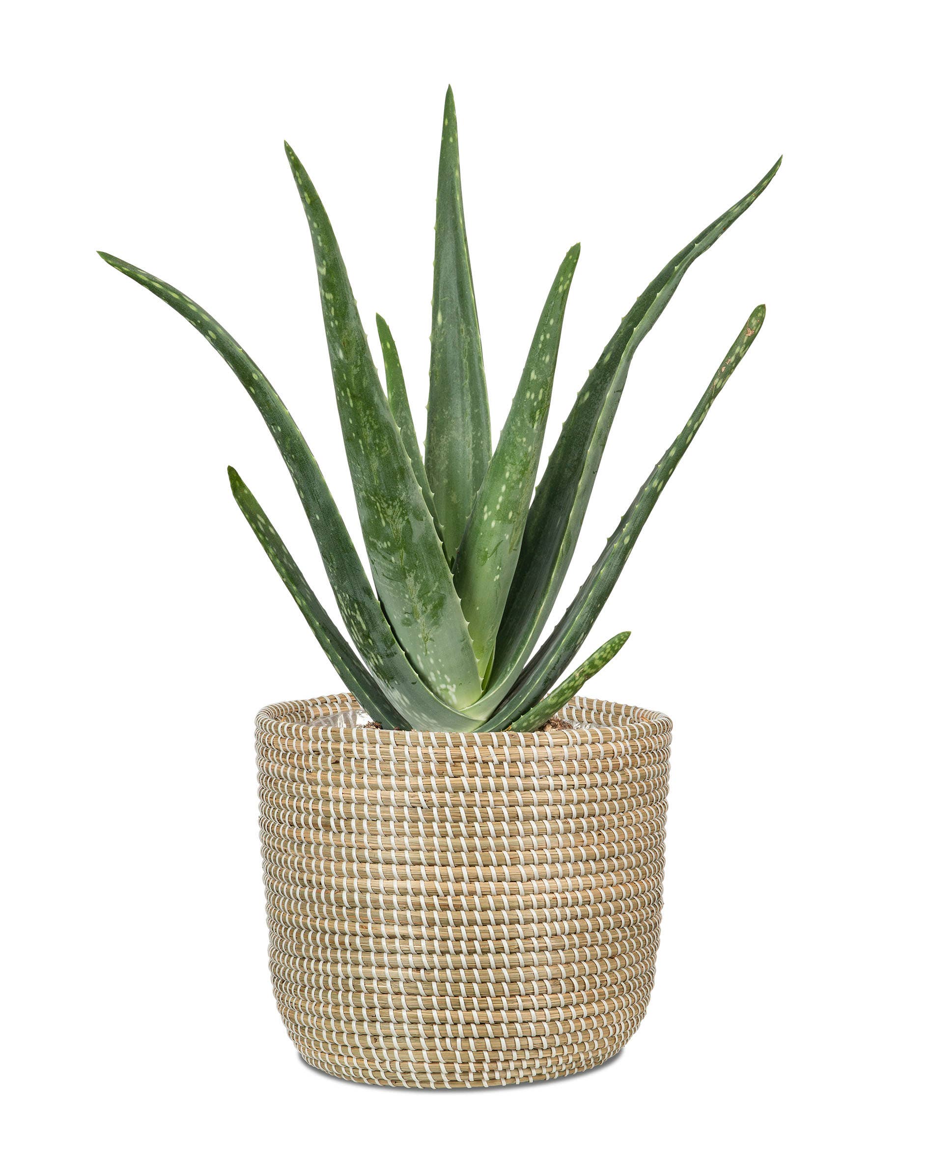 Korbgefäß/Pflanzgefäß 513 Aus Seegras