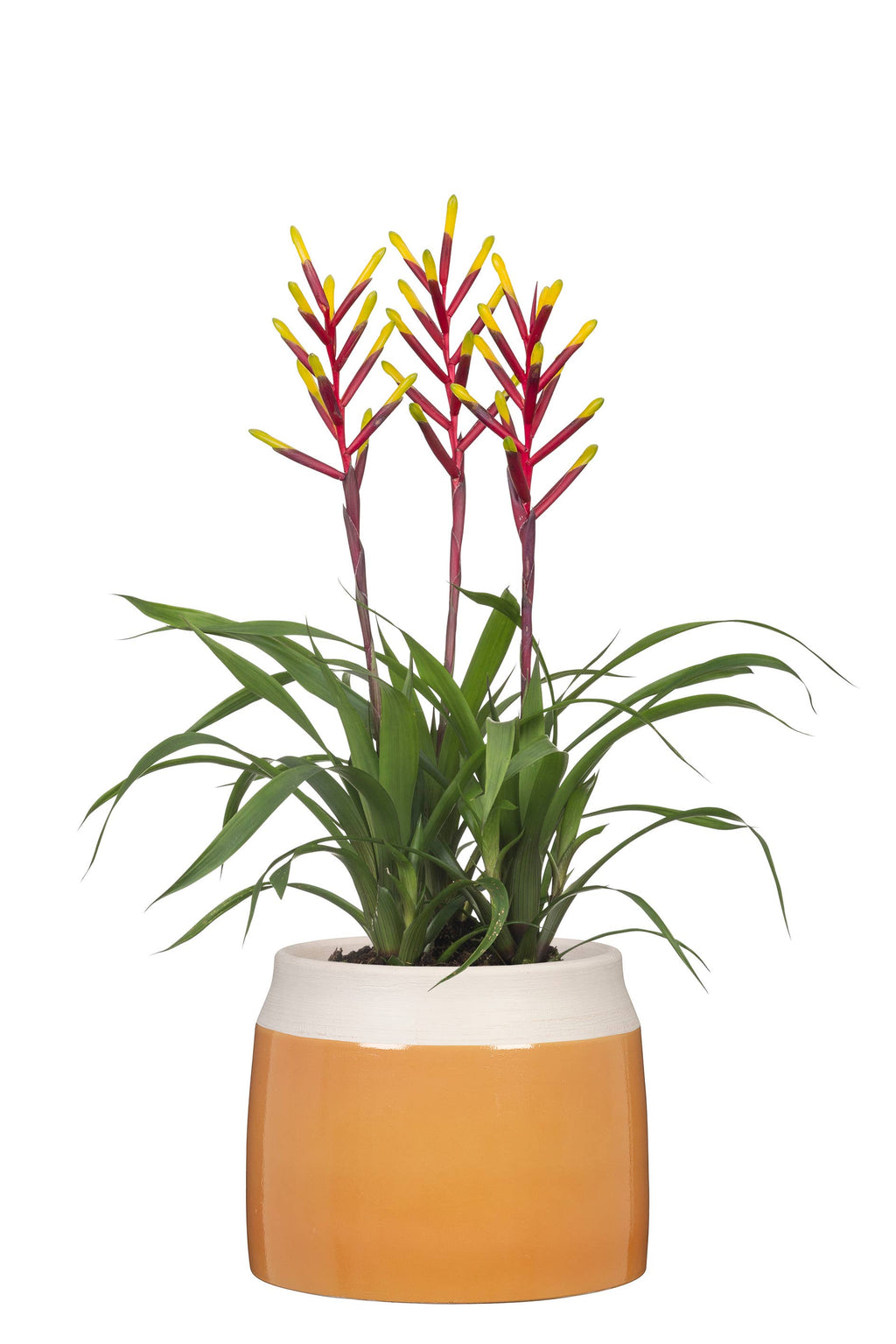 Blumentopf/Übertopf Jarro 717 aus Keramik