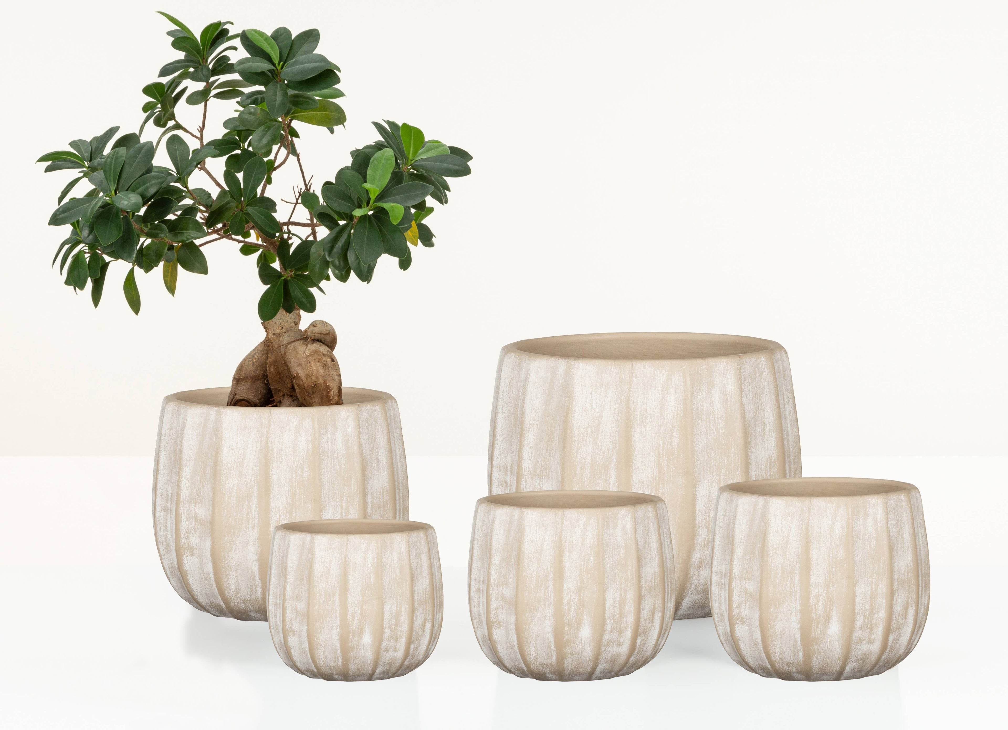 Blumentopf/Übertopf 784 Washed Cream aus Keramik