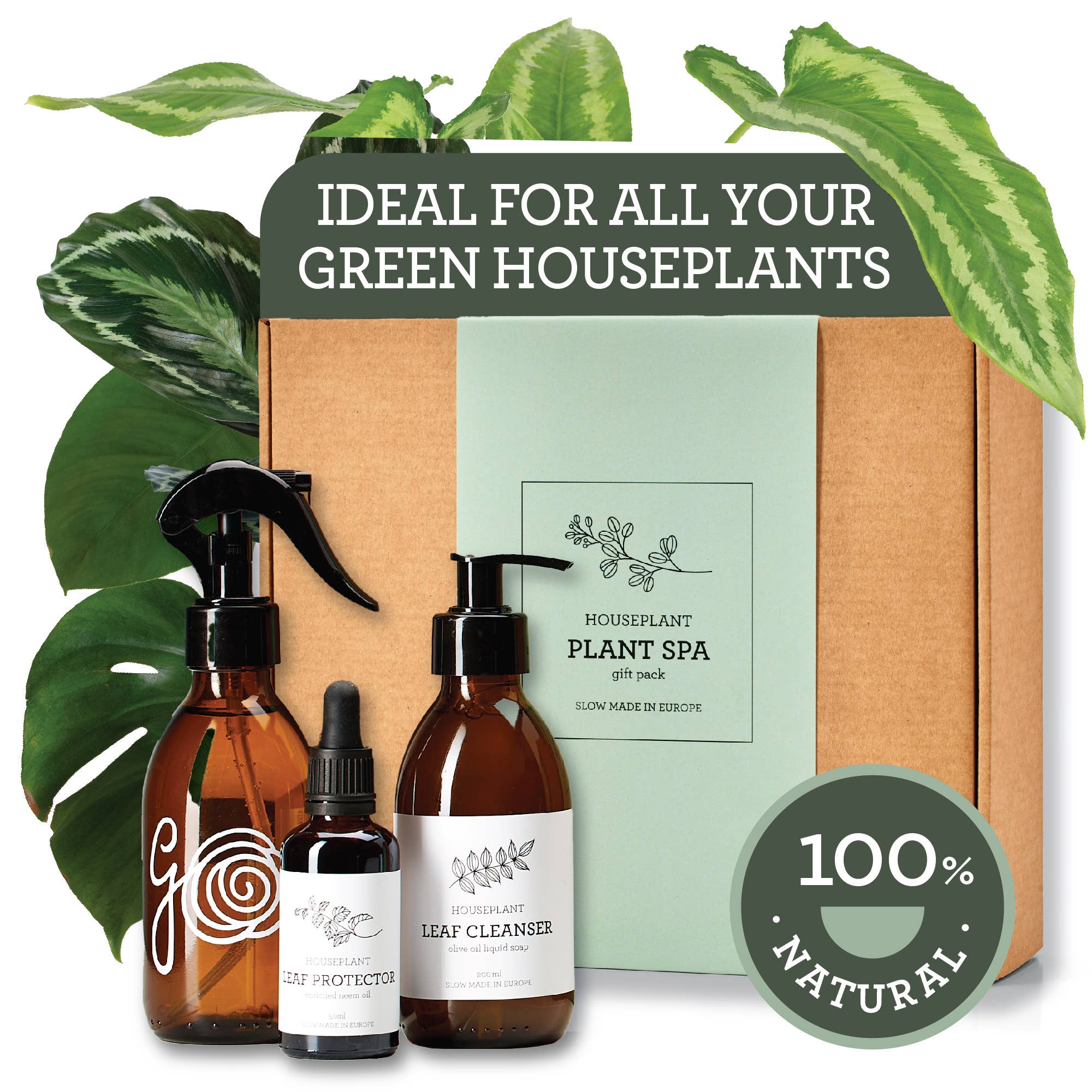 PLANT CLEAN & PROTECT SET | Plant SPA Geschenkpaket