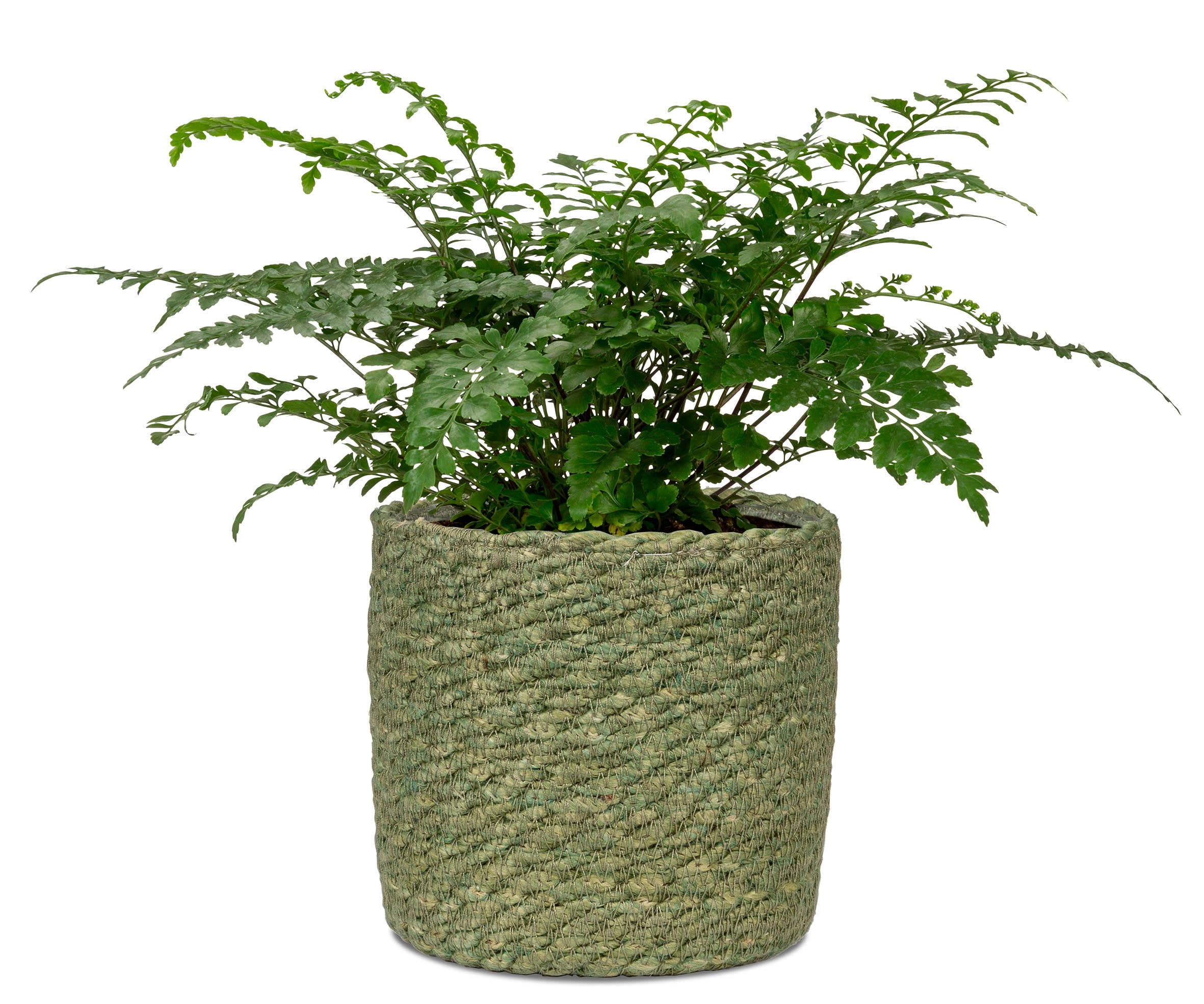 Korbgefäß/Pflanzgefäß 508 Aus Seegras