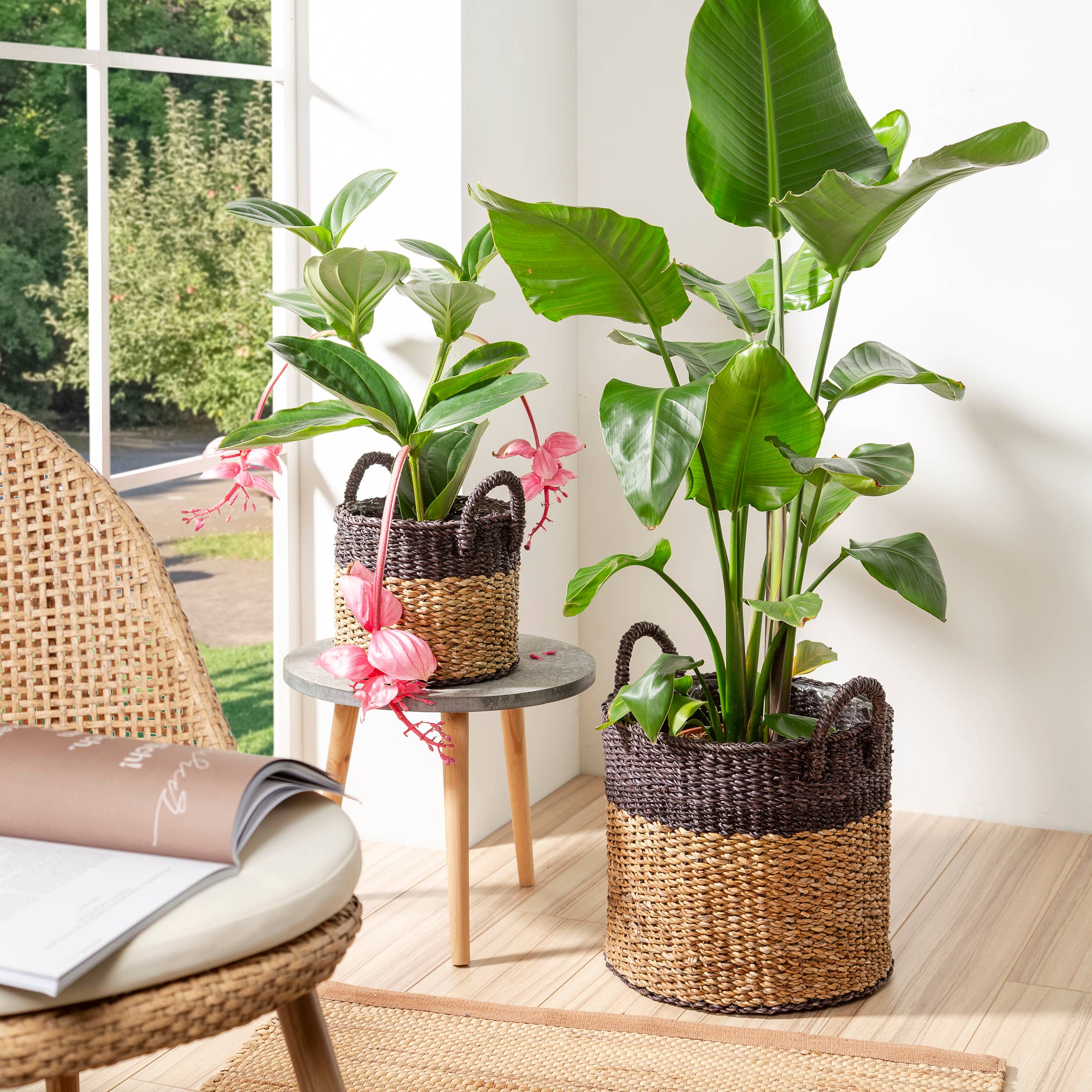 Scheurich Pflanzgefäß 516 aus Seegras