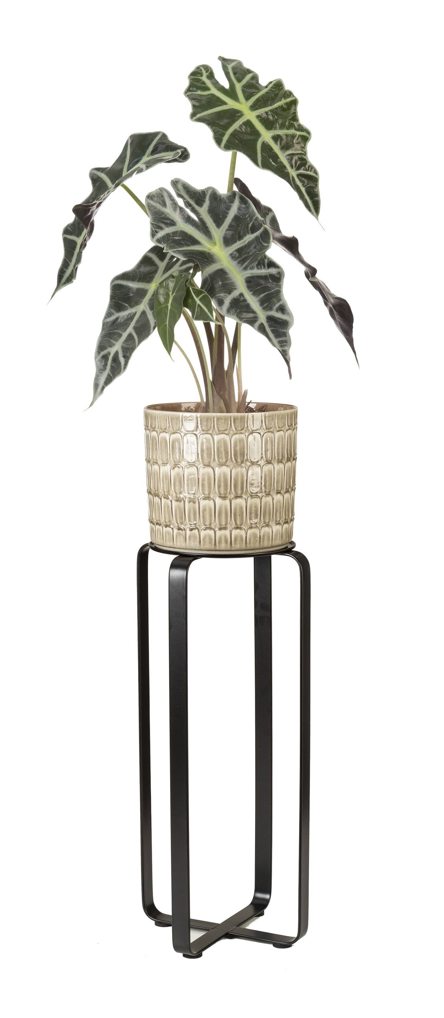 Pflanzenständer/Blumentopfständer Avignon aus Metall