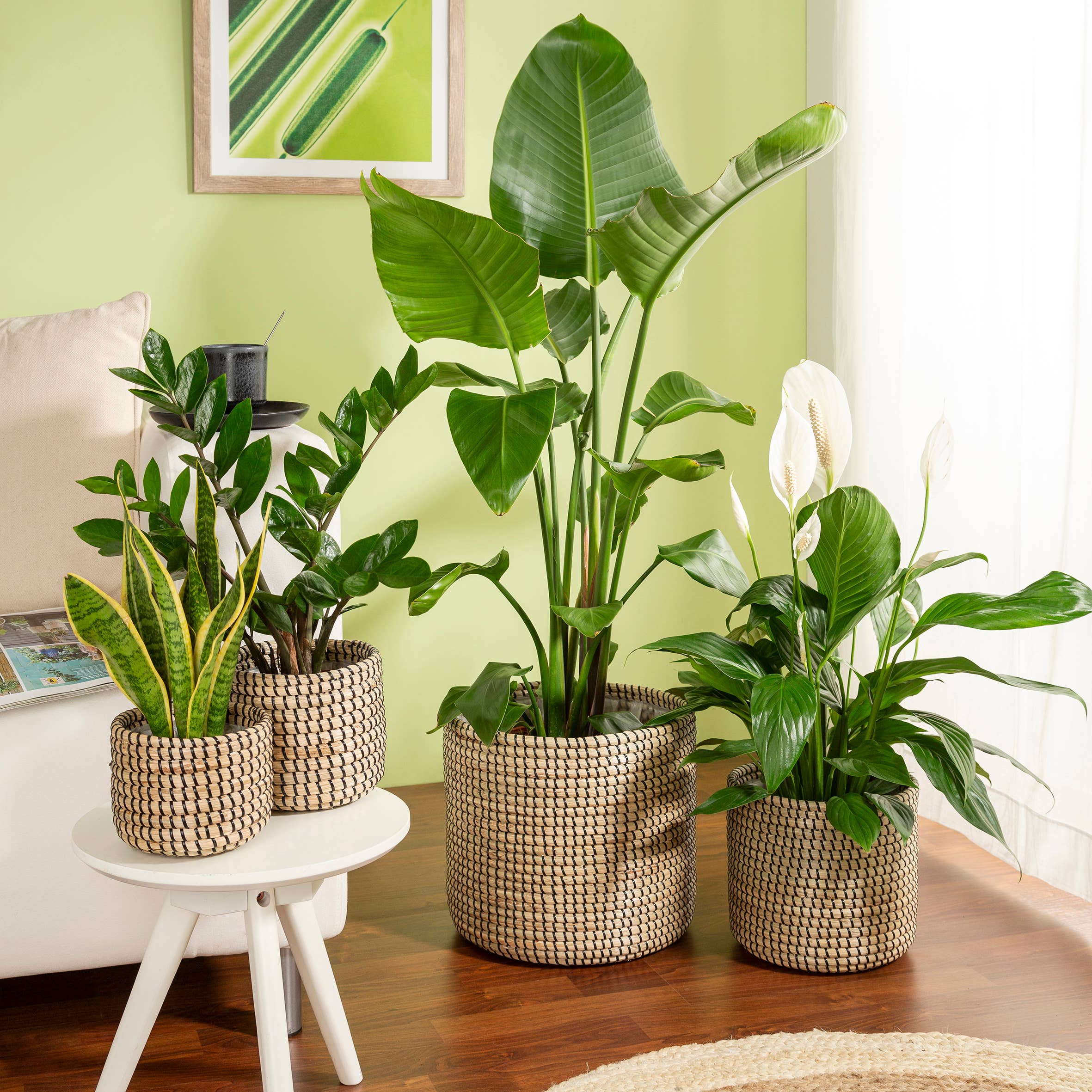 Korbgefäß/Pflanzgefäß 513 Aus Seegras