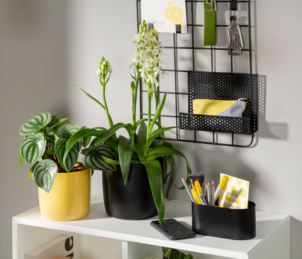 2Er Set Übertöpfe Solido 900 aus Keramik