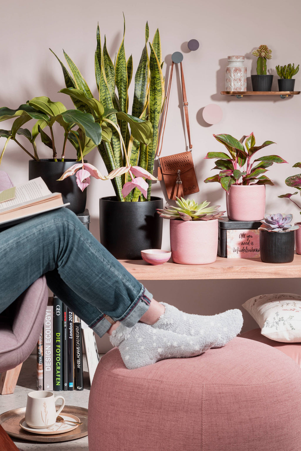 2Er Set Übertöpfe Solido 900 aus Keramik