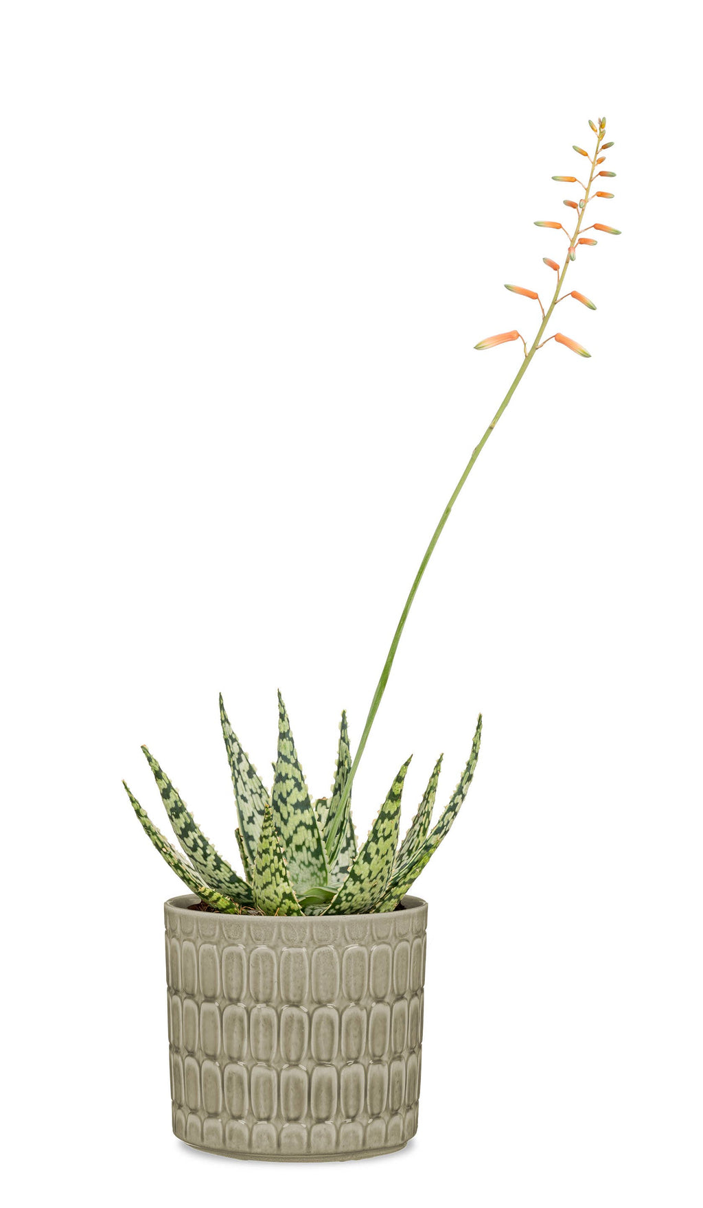 Blumentopf/Übertopf Lagom 878 aus Keramik