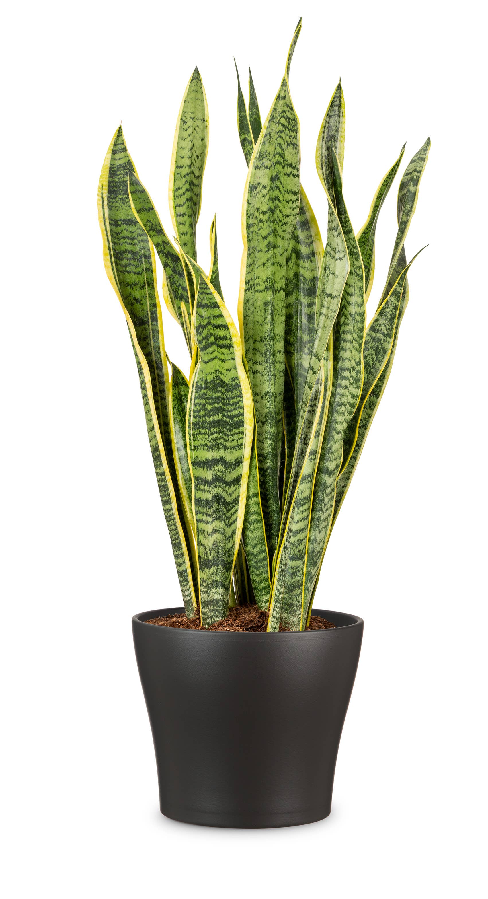 Blumentopf/Übertopf 808 aus Keramik