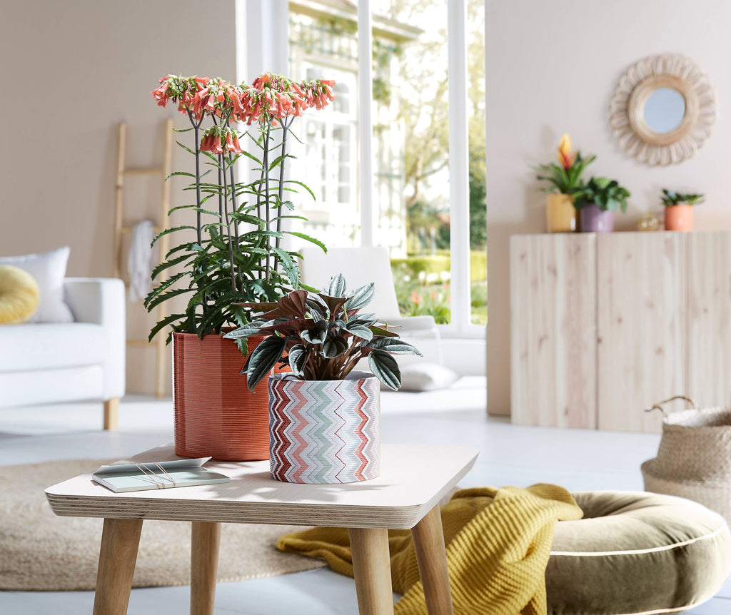 Blumentopf/Übertopf 828 aus Keramik