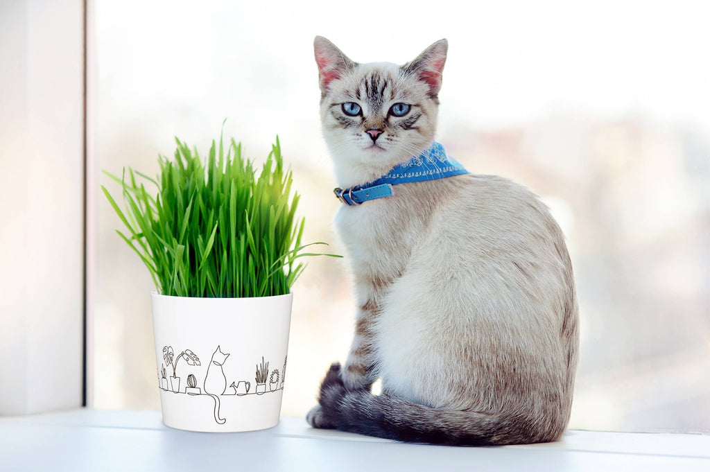 Blumentopf/Übertopf 870 aus Keramik