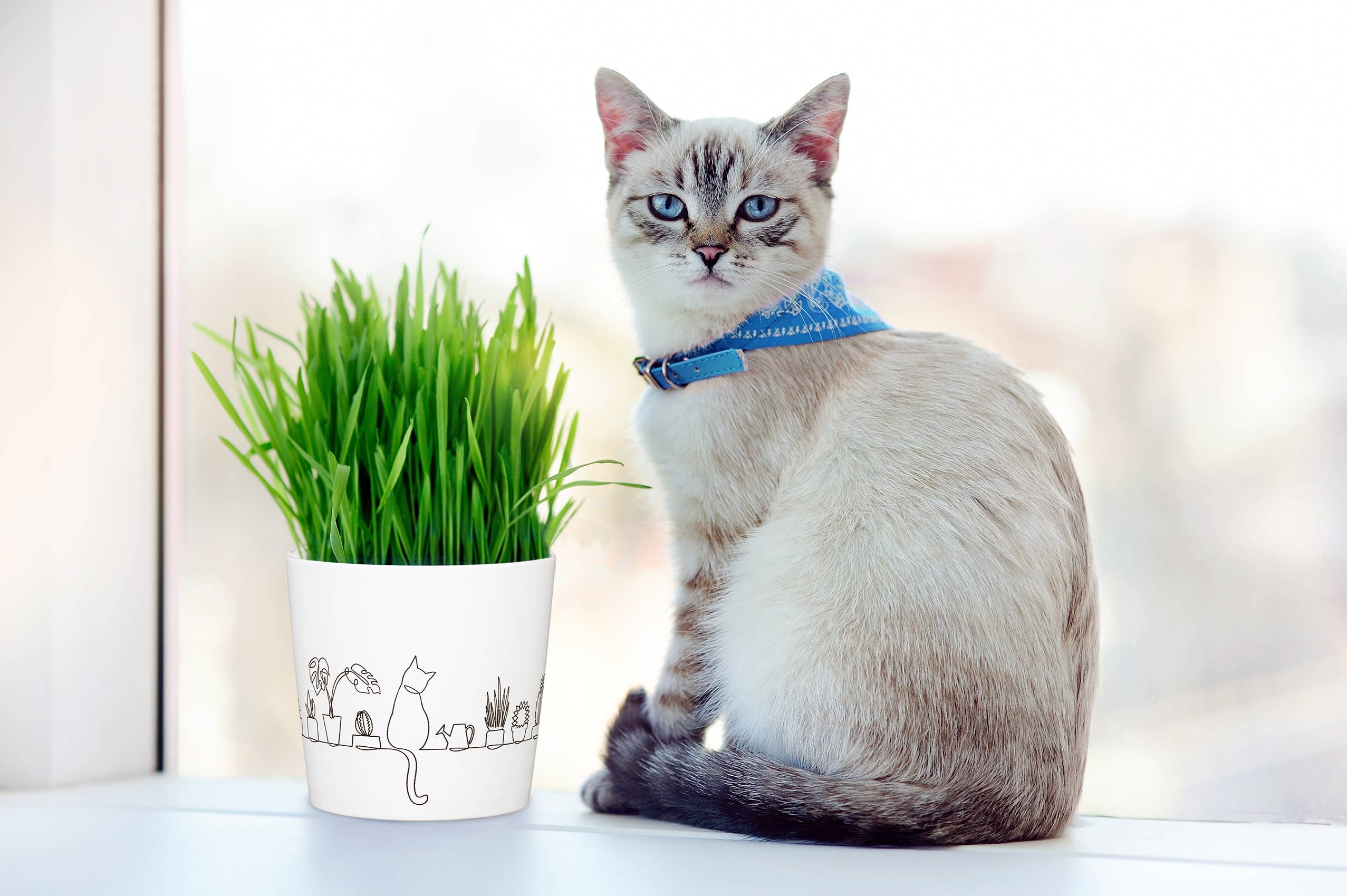 Blumentopf/Übertopf 870 aus Keramik