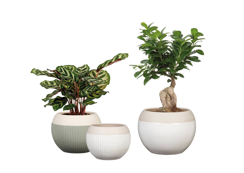 Blumentopf/Übertopf Bola 718 aus Keramik