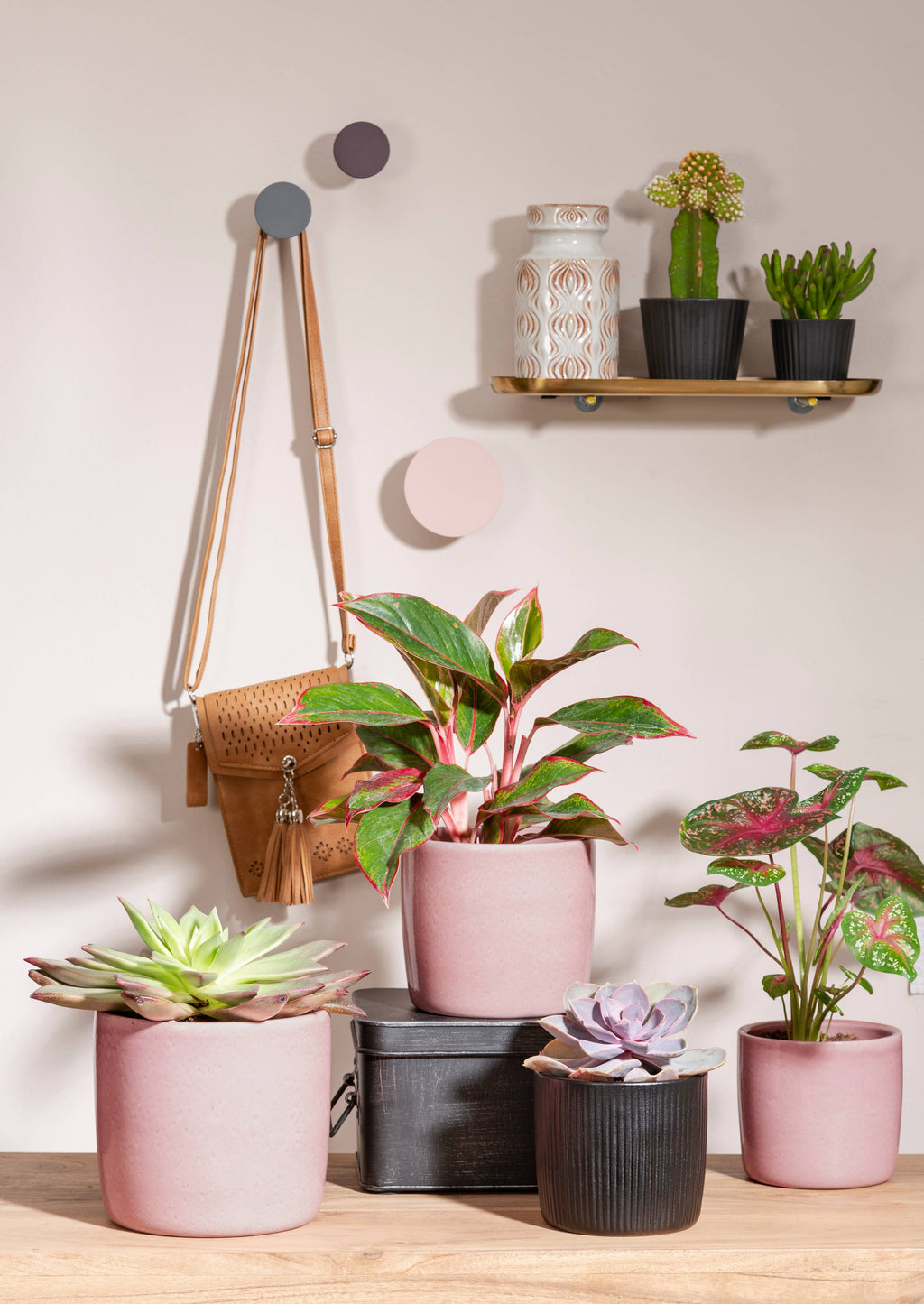 2Er Set Übertöpfe Solido 900 aus Keramik