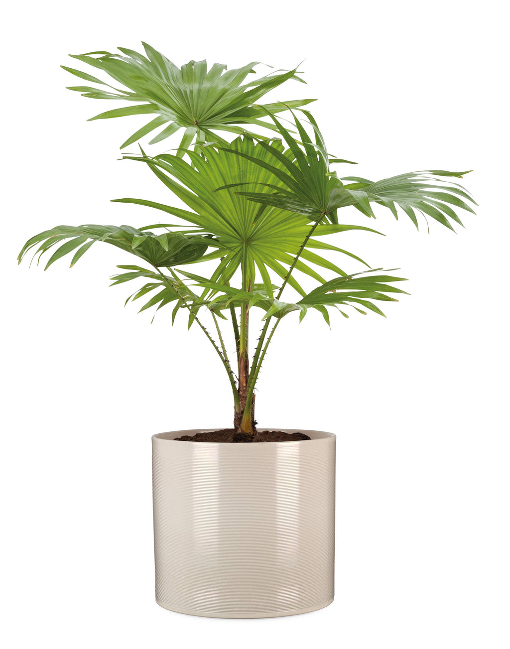 Blumentopf/Übertopf 828 aus Keramik