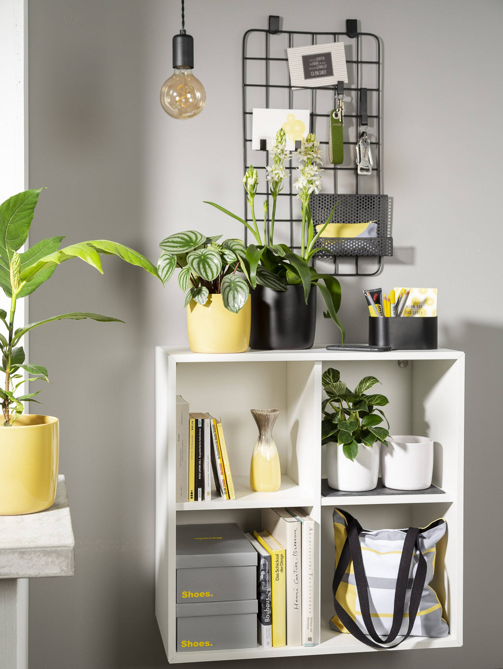 2Er Set Übertöpfe Solido 900 aus Keramik