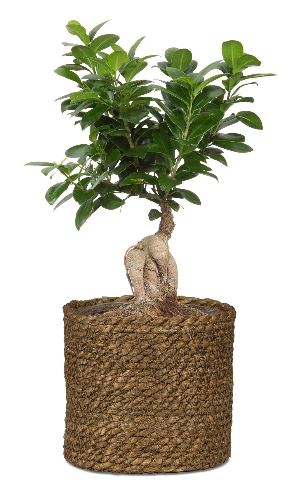 Korbgefäß/Pflanzgefäß 508 Aus Seegras