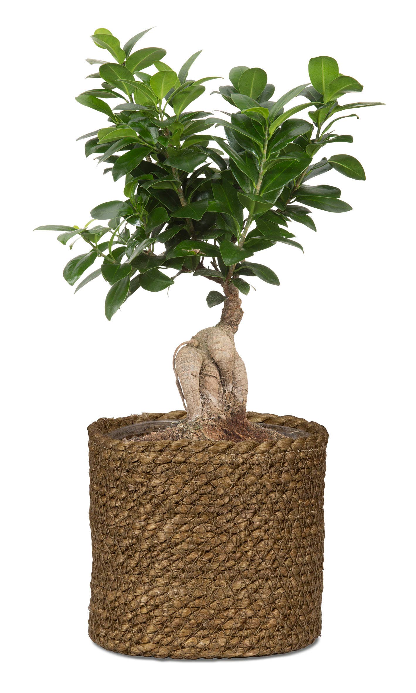 Korbgefäß/Pflanzgefäß 508 Aus Seegras