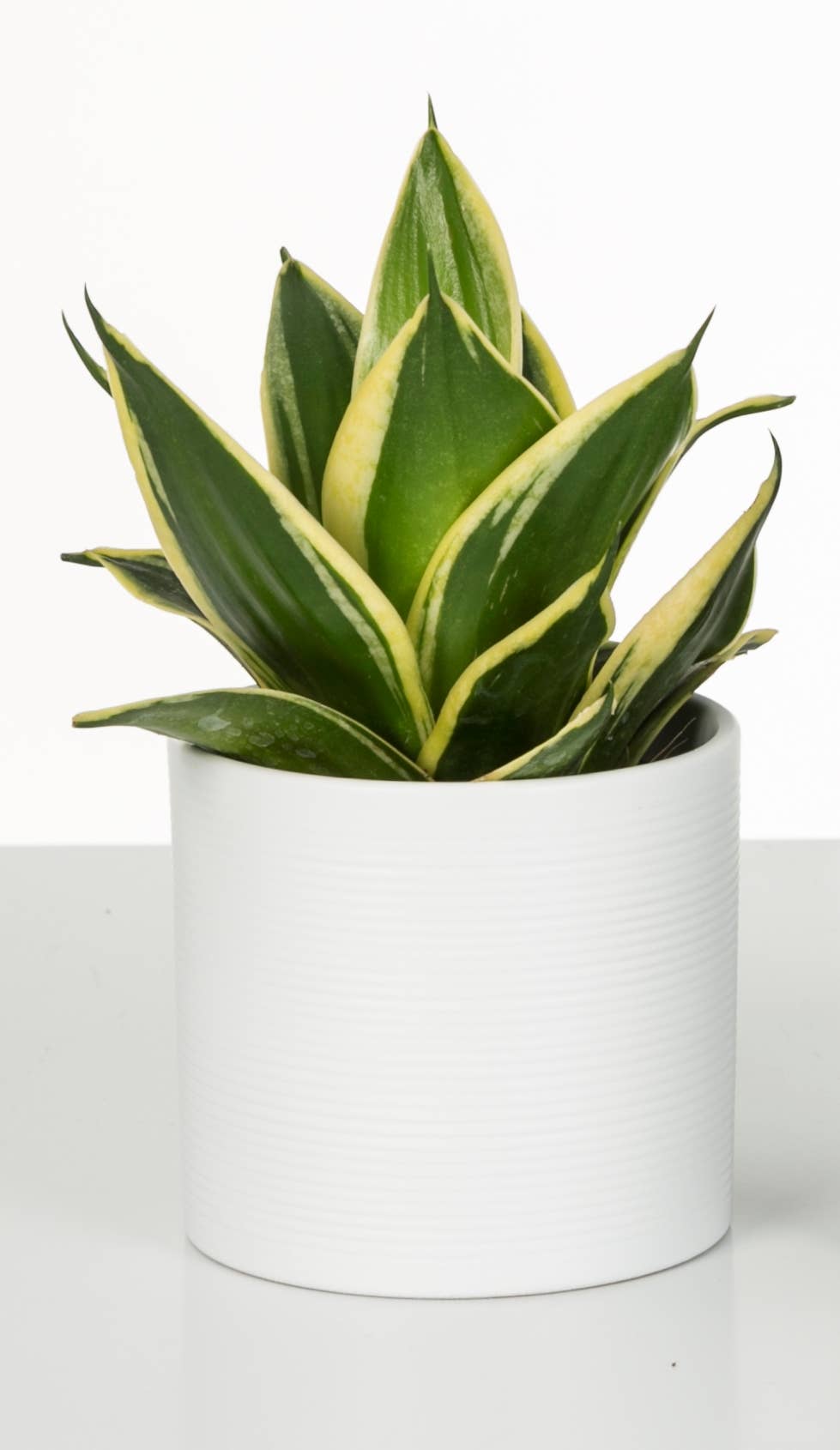 Blumentopf/Übertopf 828 aus Keramik