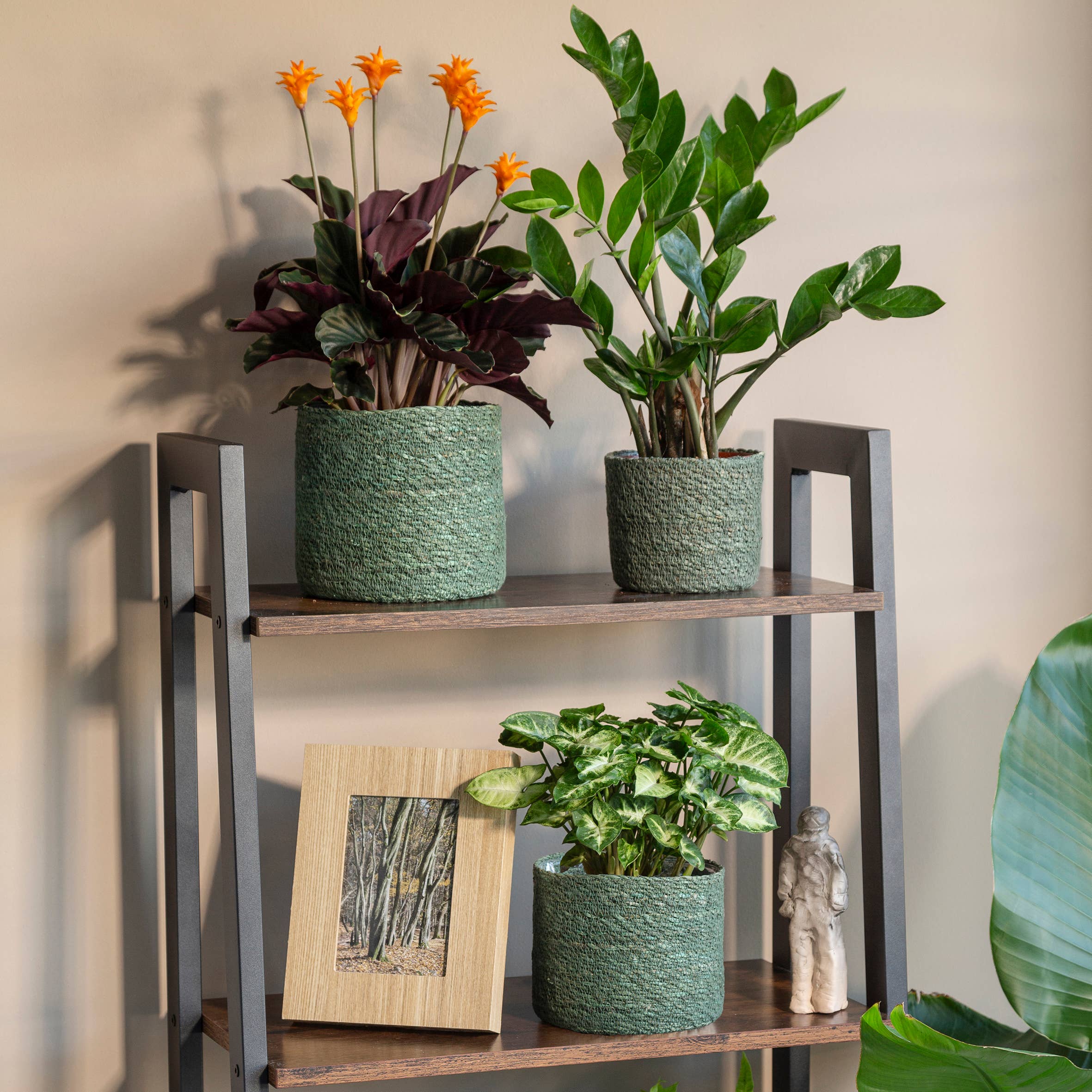 Korbgefäß/Pflanzgefäß 508 Aus Seegras