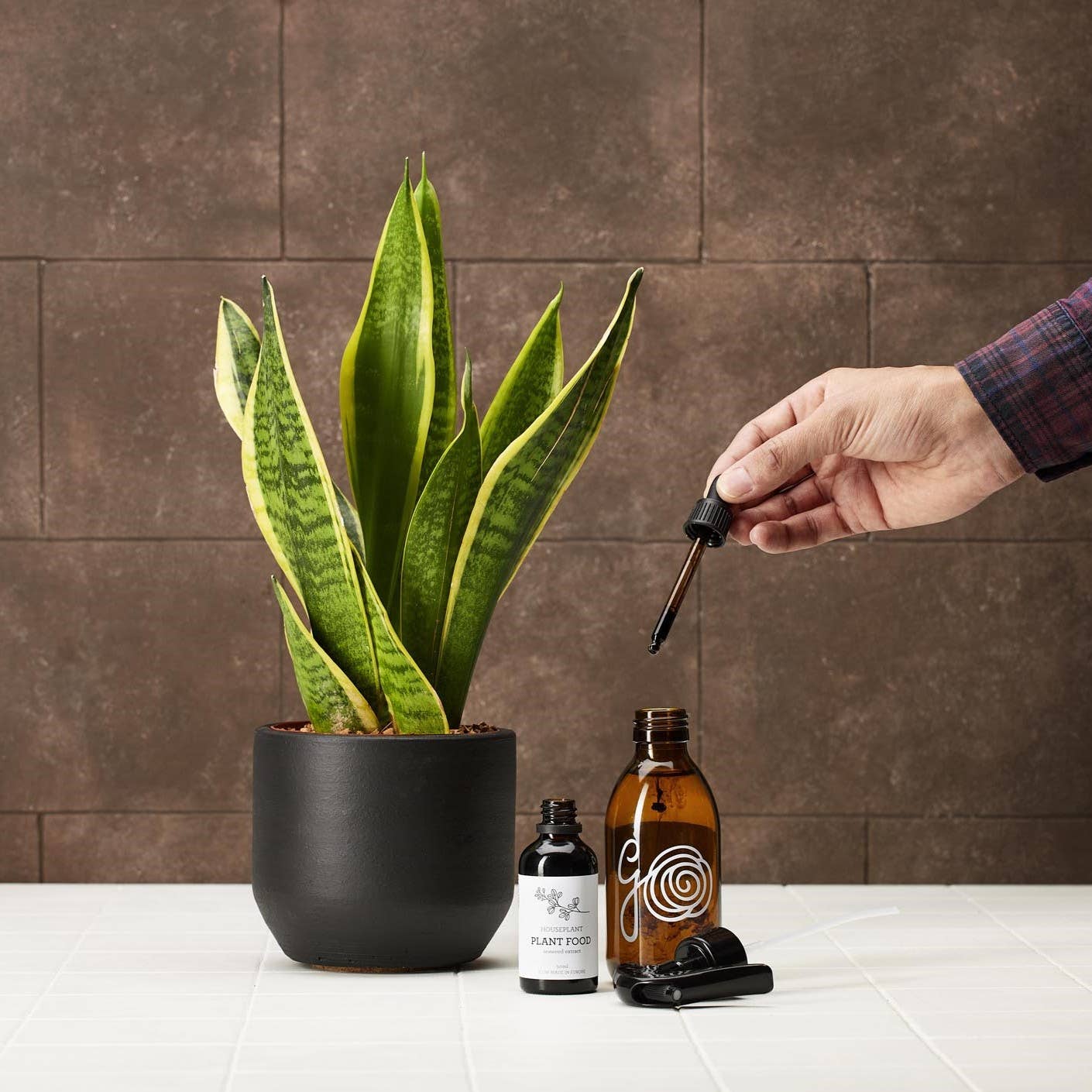 ORGANISCHER FLÜSSIGDÜNGER | Pflanzennahrung | Meeresalgenextrakt 50 ml