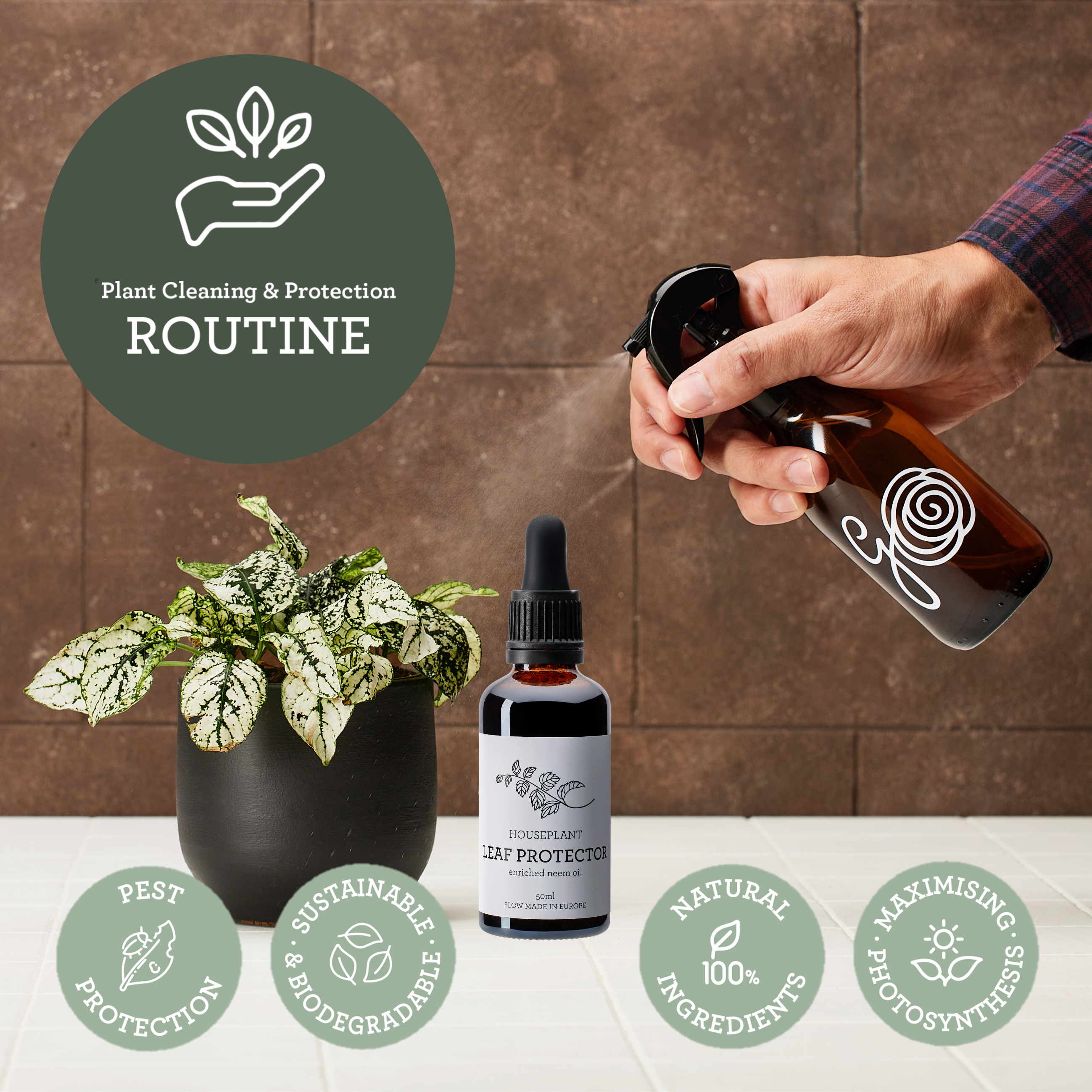 NATÜRLICHES INSEKTIZID | Mit Blattschutz angereichertes Neemöl 50 ml