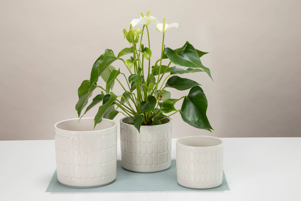 Blumentopf/Übertopf Lagom 878 Opale aus Keramik