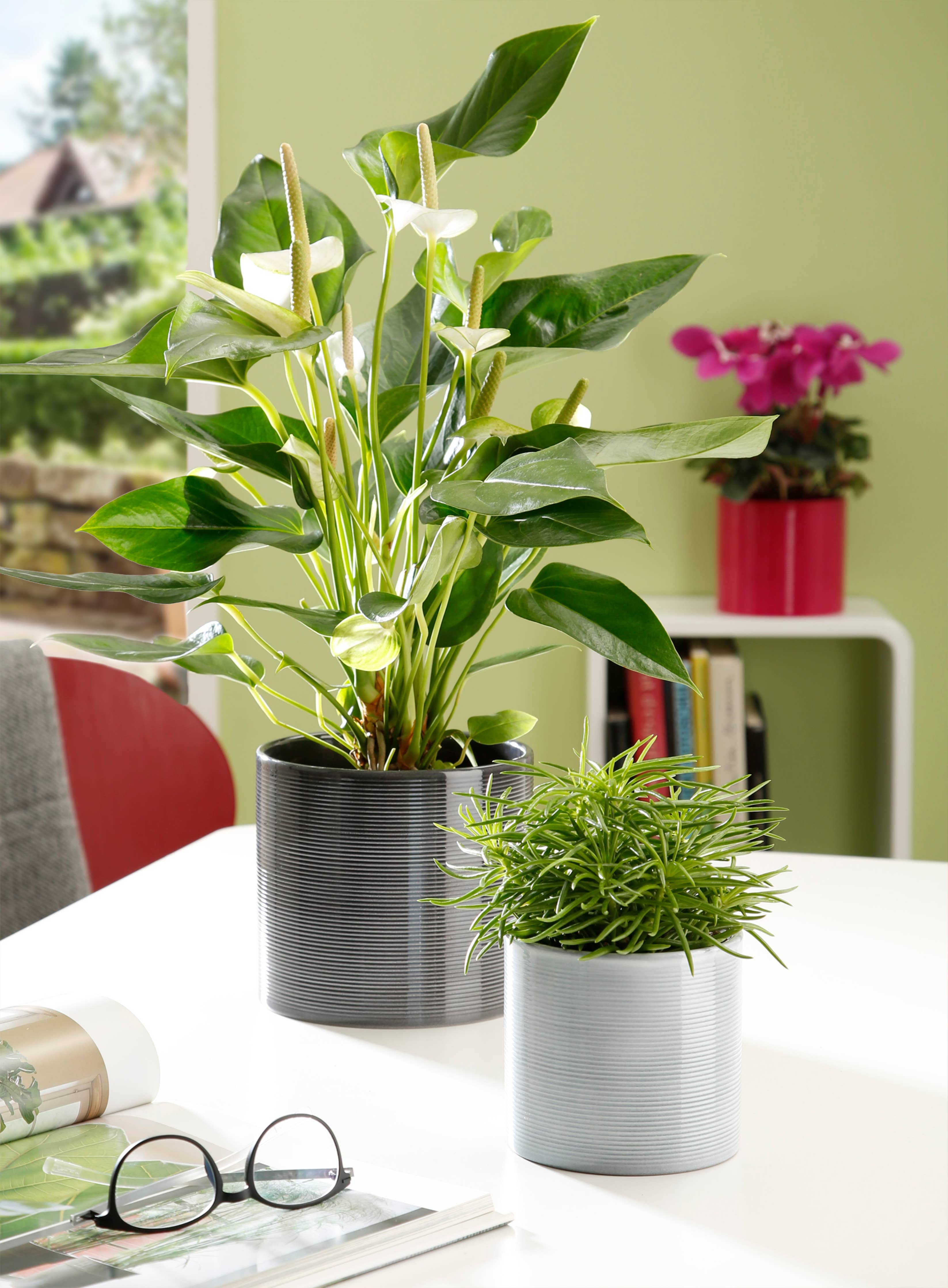 Blumentopf/Übertopf 828 aus Keramik