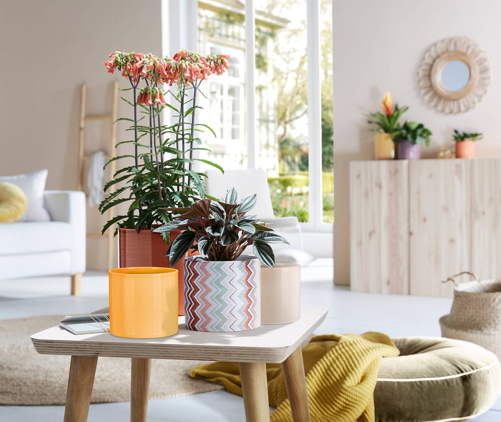 Blumentopf/Übertopf 828 aus Keramik