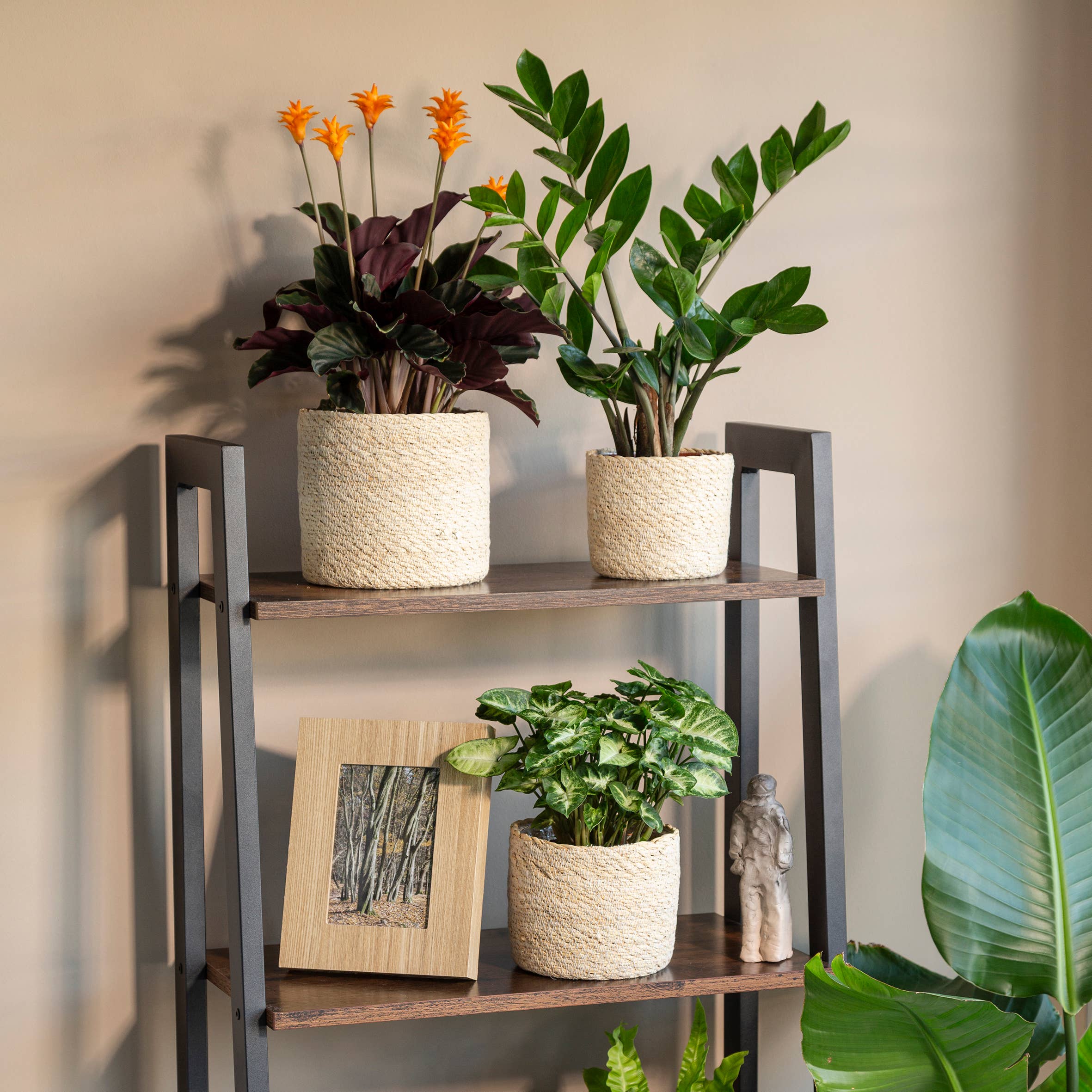 Korbgefäß/Pflanzgefäß 508 Aus Seegras