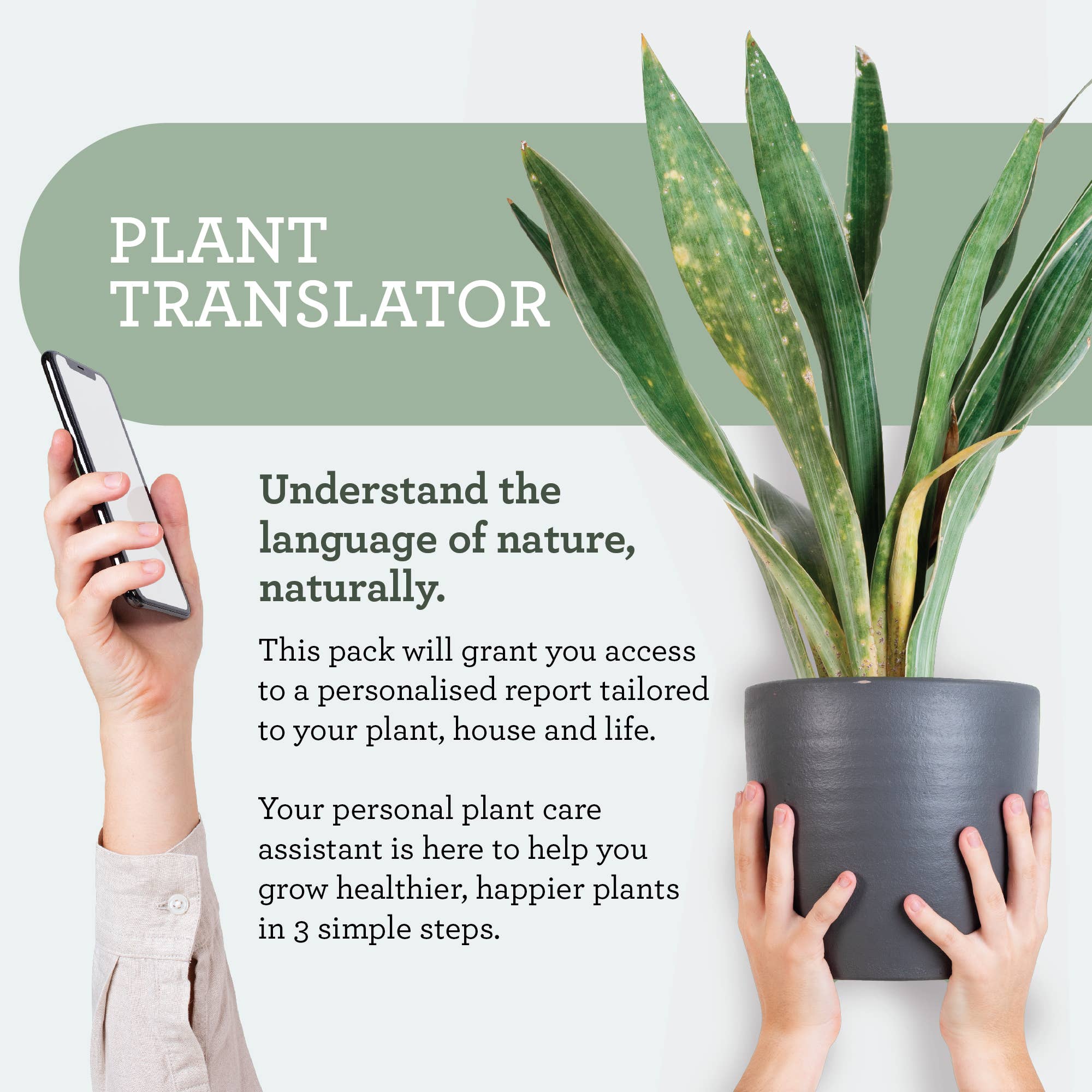 PLANT CLEAN & PROTECT SET | Plant SPA Geschenkpaket