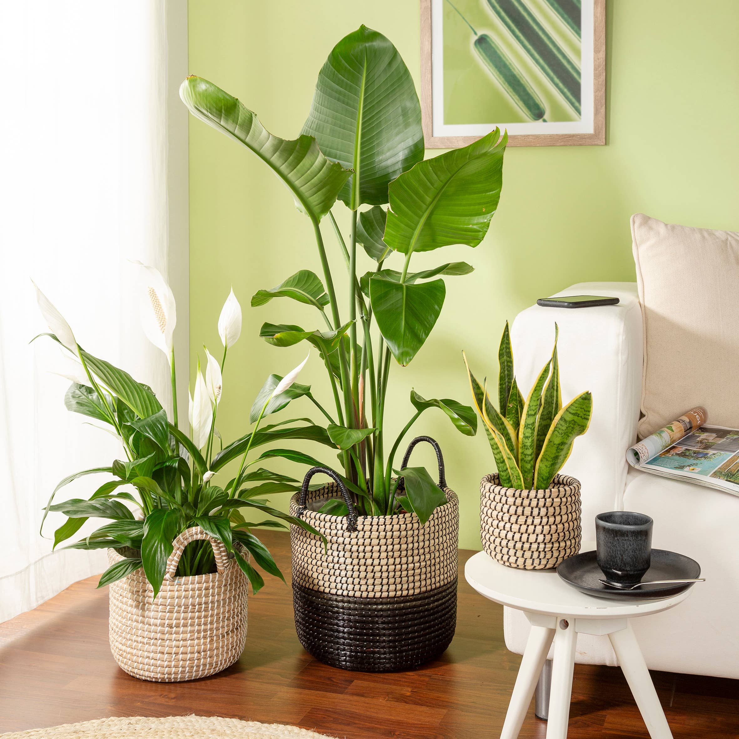 Korbgefäß/Pflanzgefäß 515 Aus Seegras