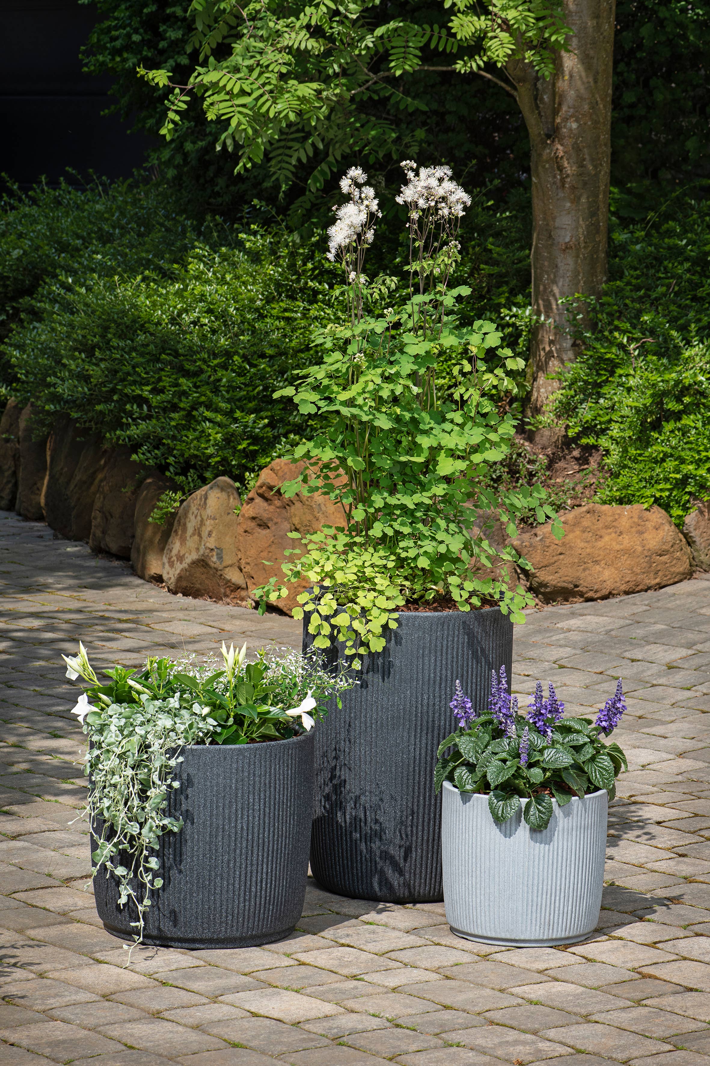 Blumentopf/Pflanzgefäß Linetto 259 aus Kunststoff