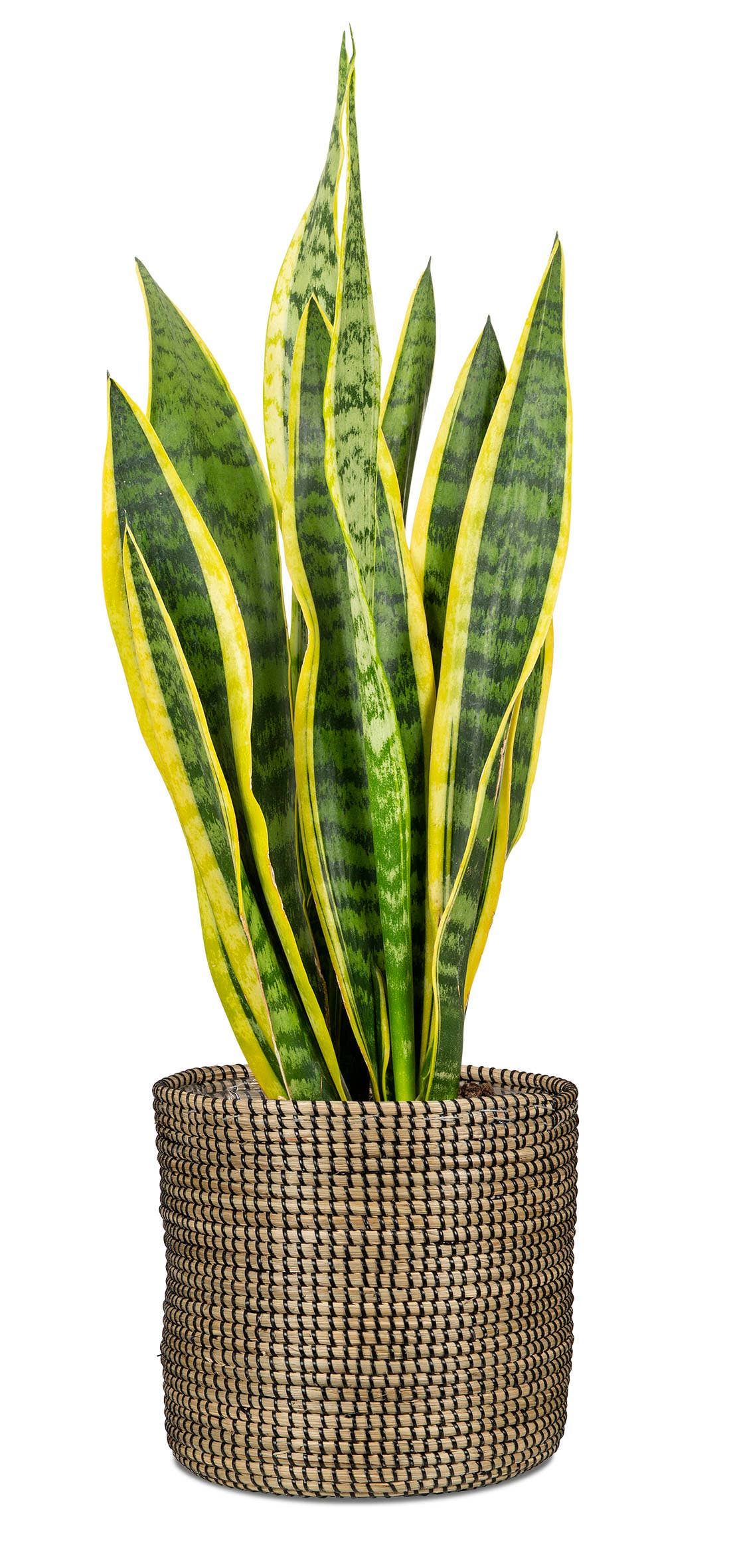 Korbgefäß/Pflanzgefäß 513 Aus Seegras