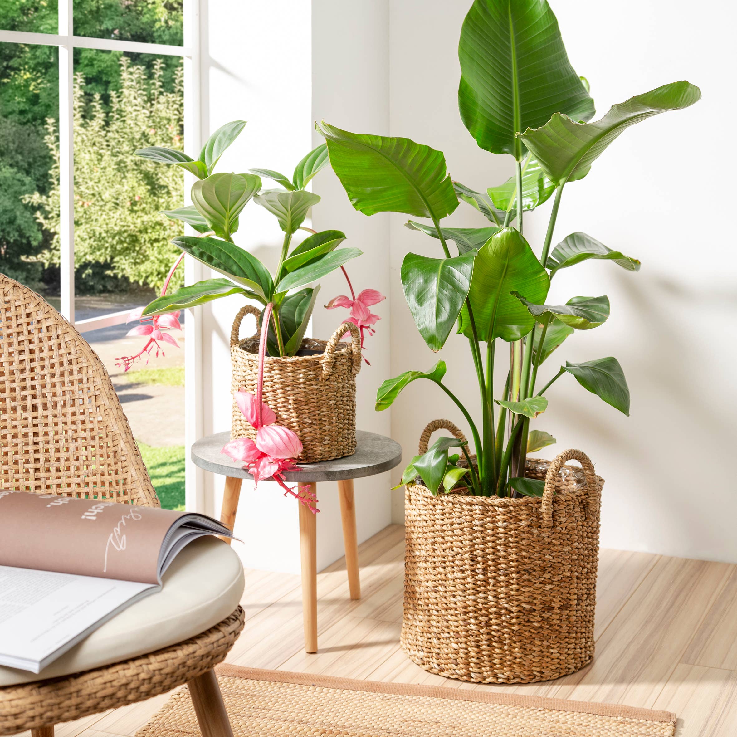 Korbgefäß/Pflanzgefäß 516 Aus Seegras