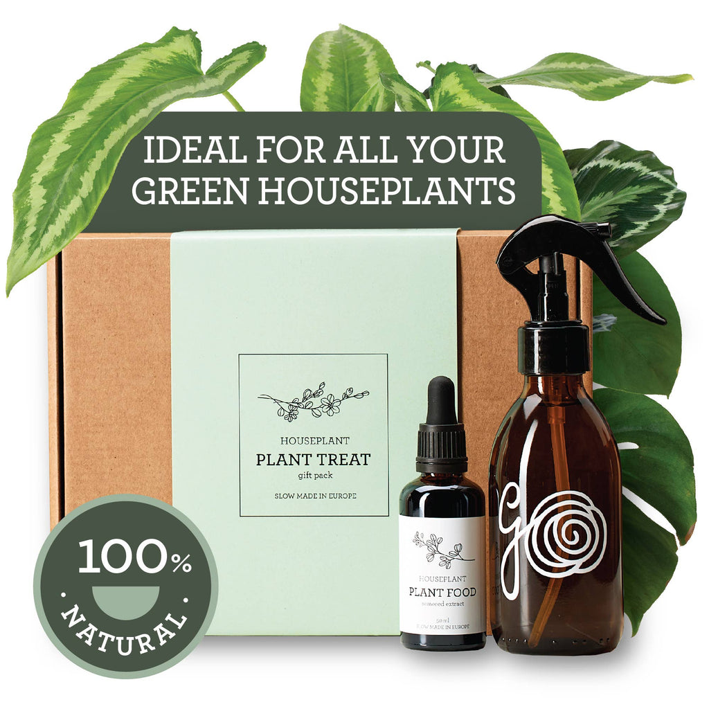 PFLANZENPFLEGE-SET | Geschenkpaket mit Pflanzenleckereien