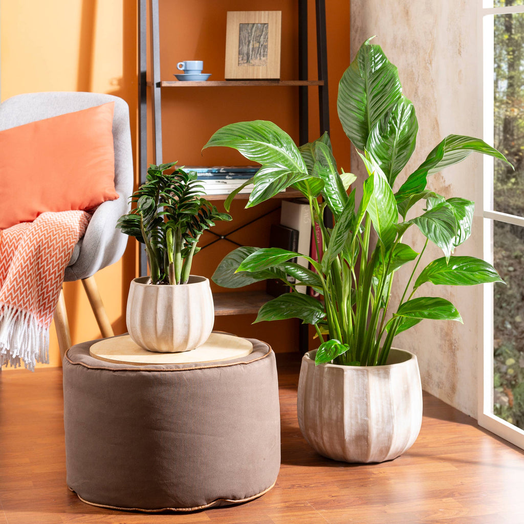 Blumentopf/Übertopf 784 Washed Cream aus Keramik