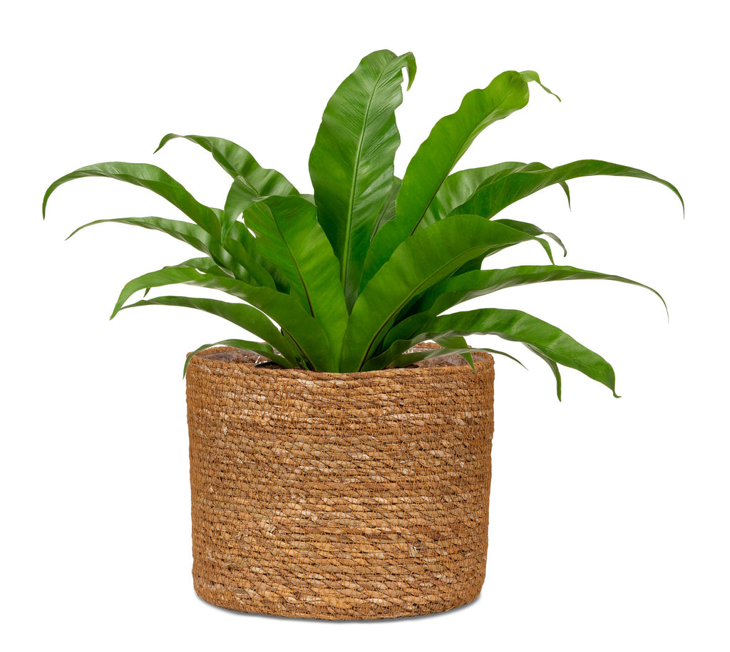 Korbgefäß/Pflanzgefäß 508 Aus Seegras